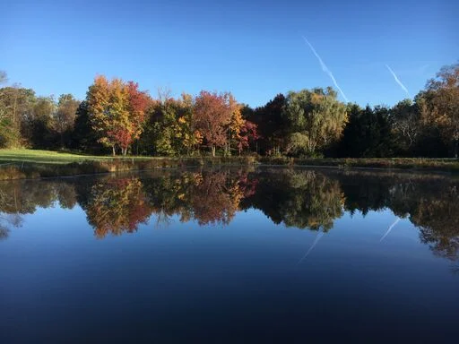 Fall 2 (banner).jpeg