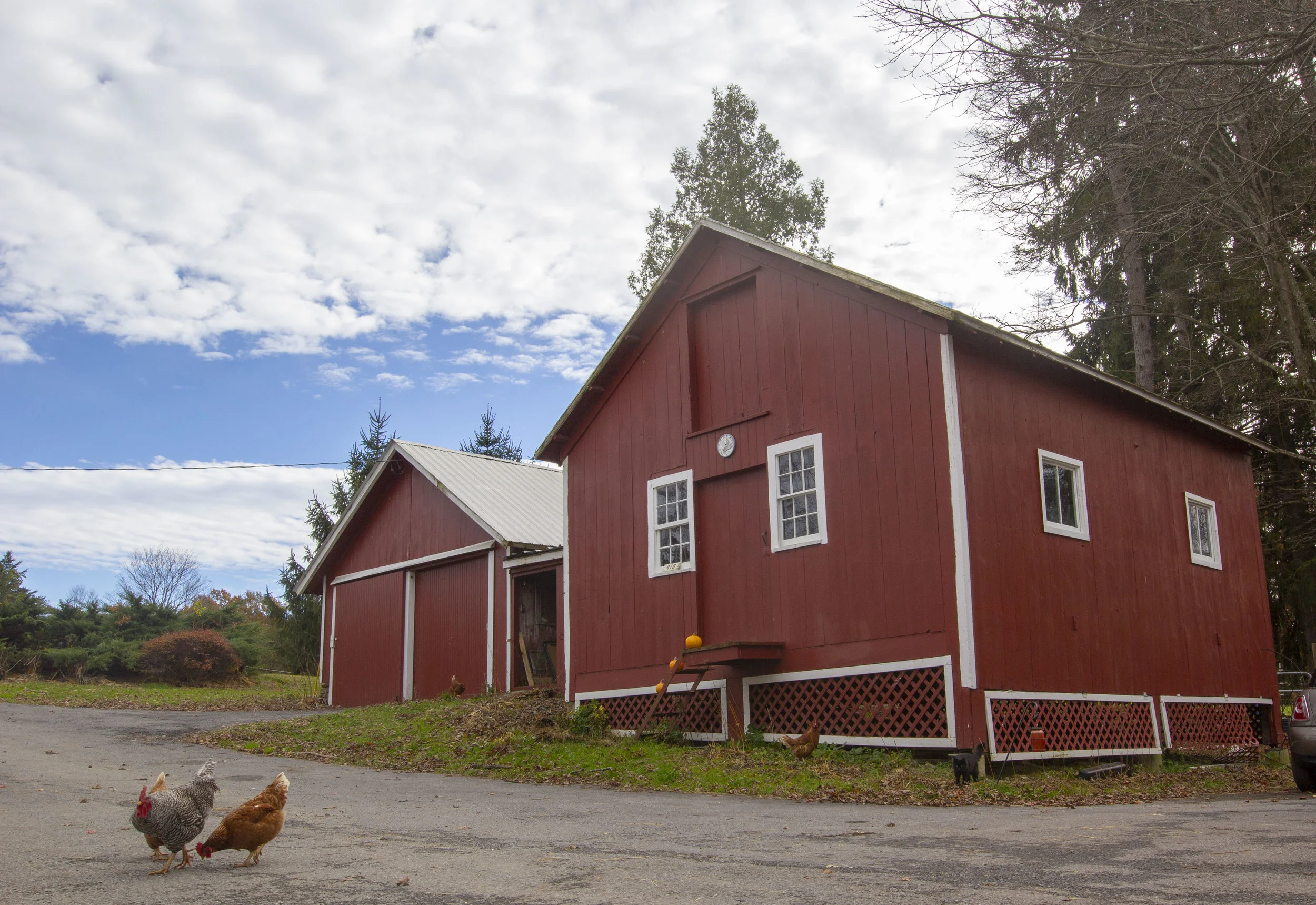 View of farm buildings from northwest.JPG