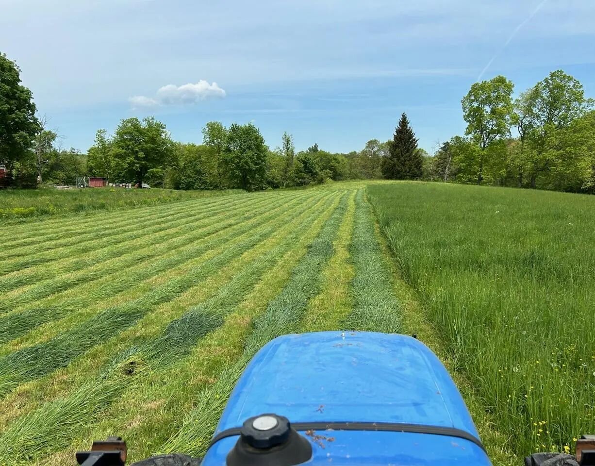 It's a good day to cut hay!  #coldenspringsfarm #hayseason #farmlife #hudsonvalleyfarms #hudsonvalleyfarmers #hayfarm