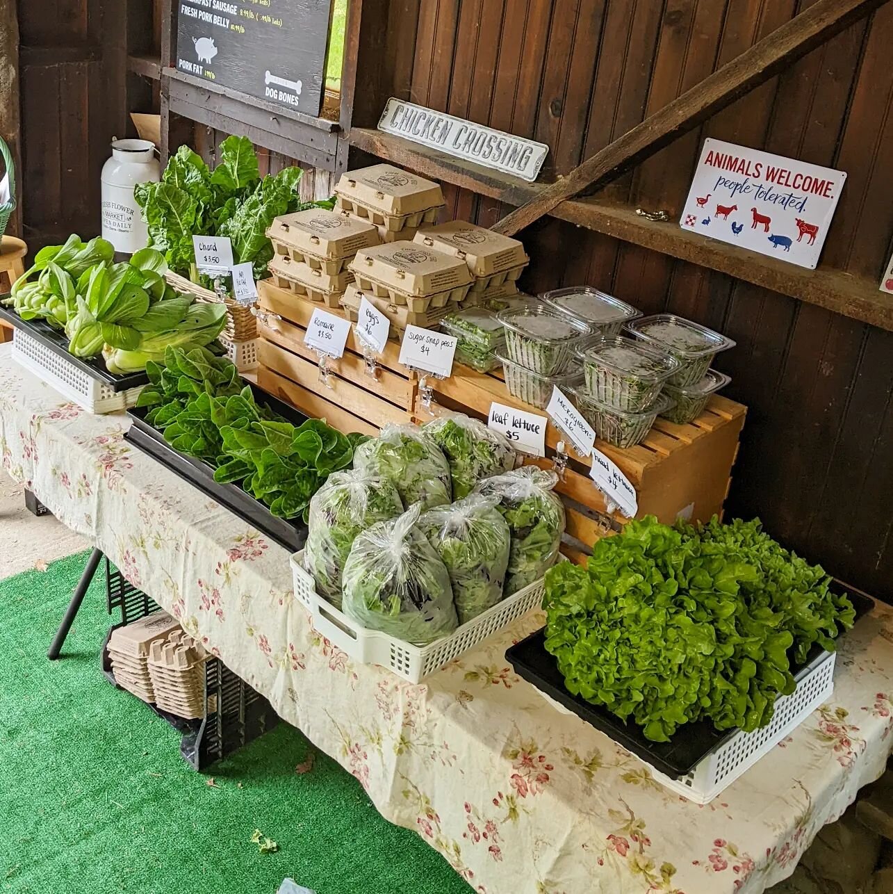 We're here from 10-2 today for our last farm market before we return to the farmers markets next weekend. We are also selling tomato plants - - today only! #coldenspringsfarm #tomatoseason #springhavest #marketfarmer #shoplocal #shopsmall