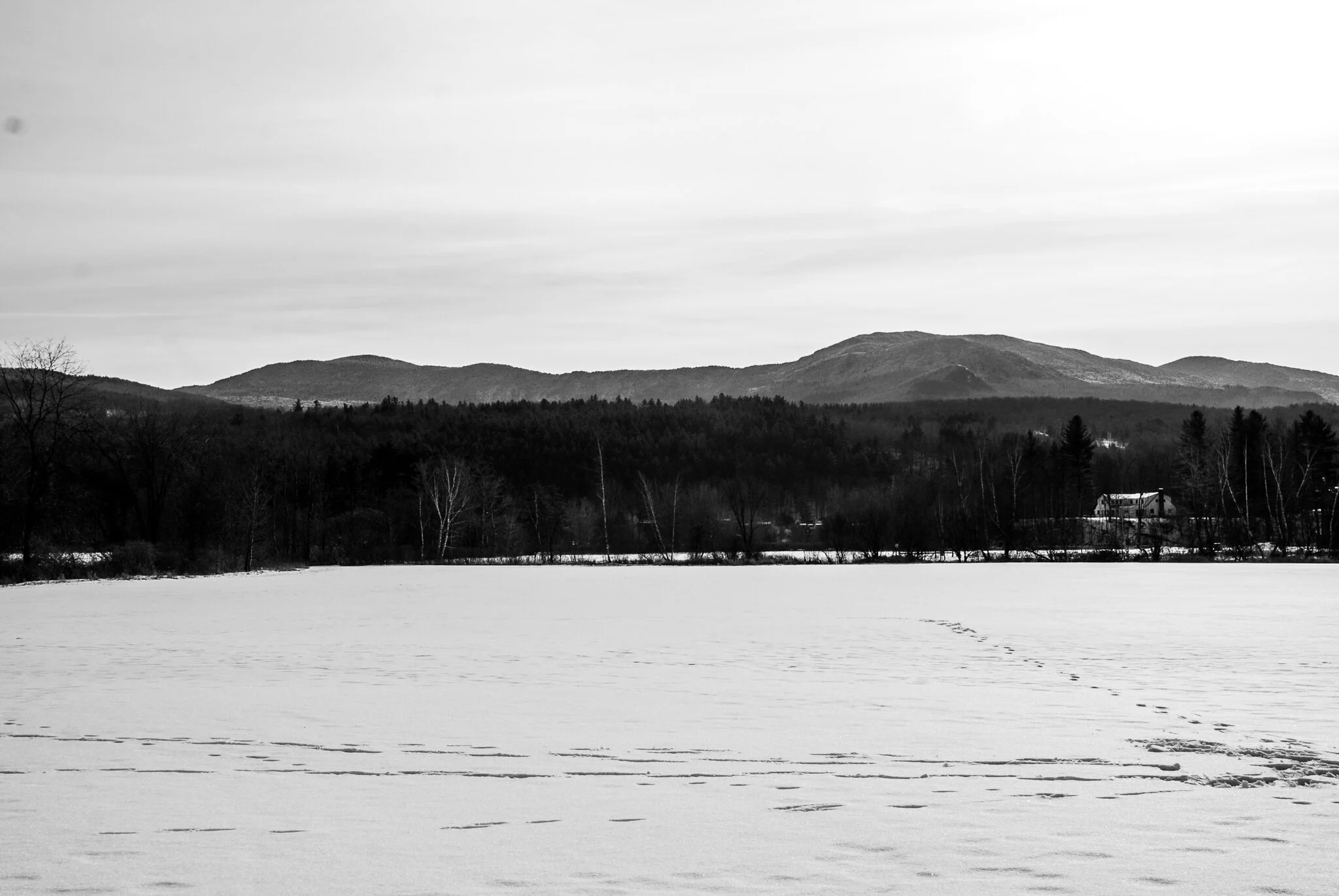 DSC_0090.jpg