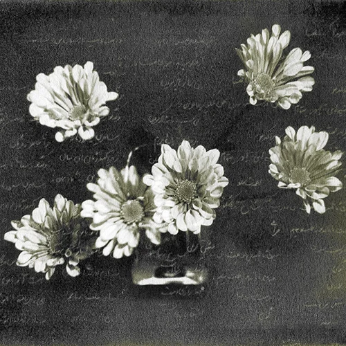photos1.jpg