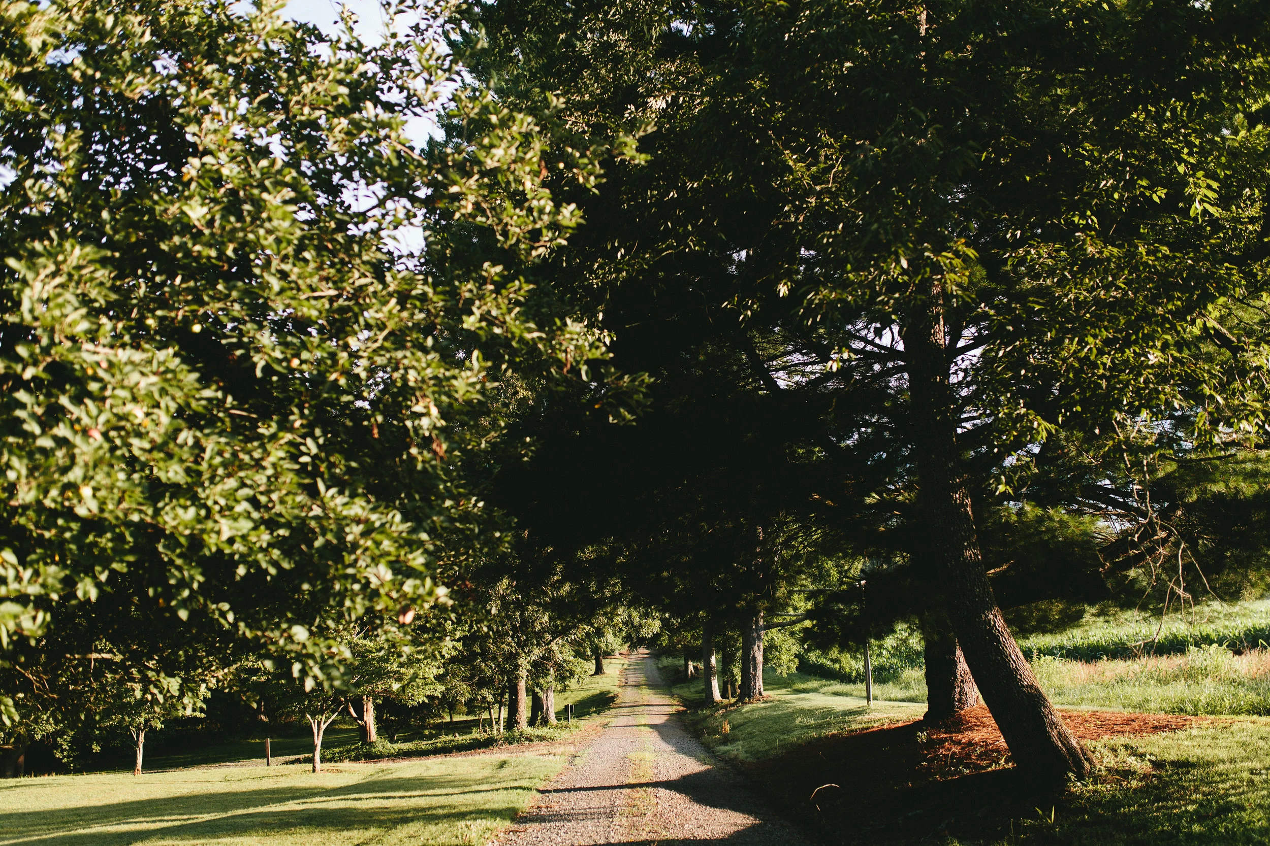 baileybattenphotography_GRASSYCREEK_-92.jpg