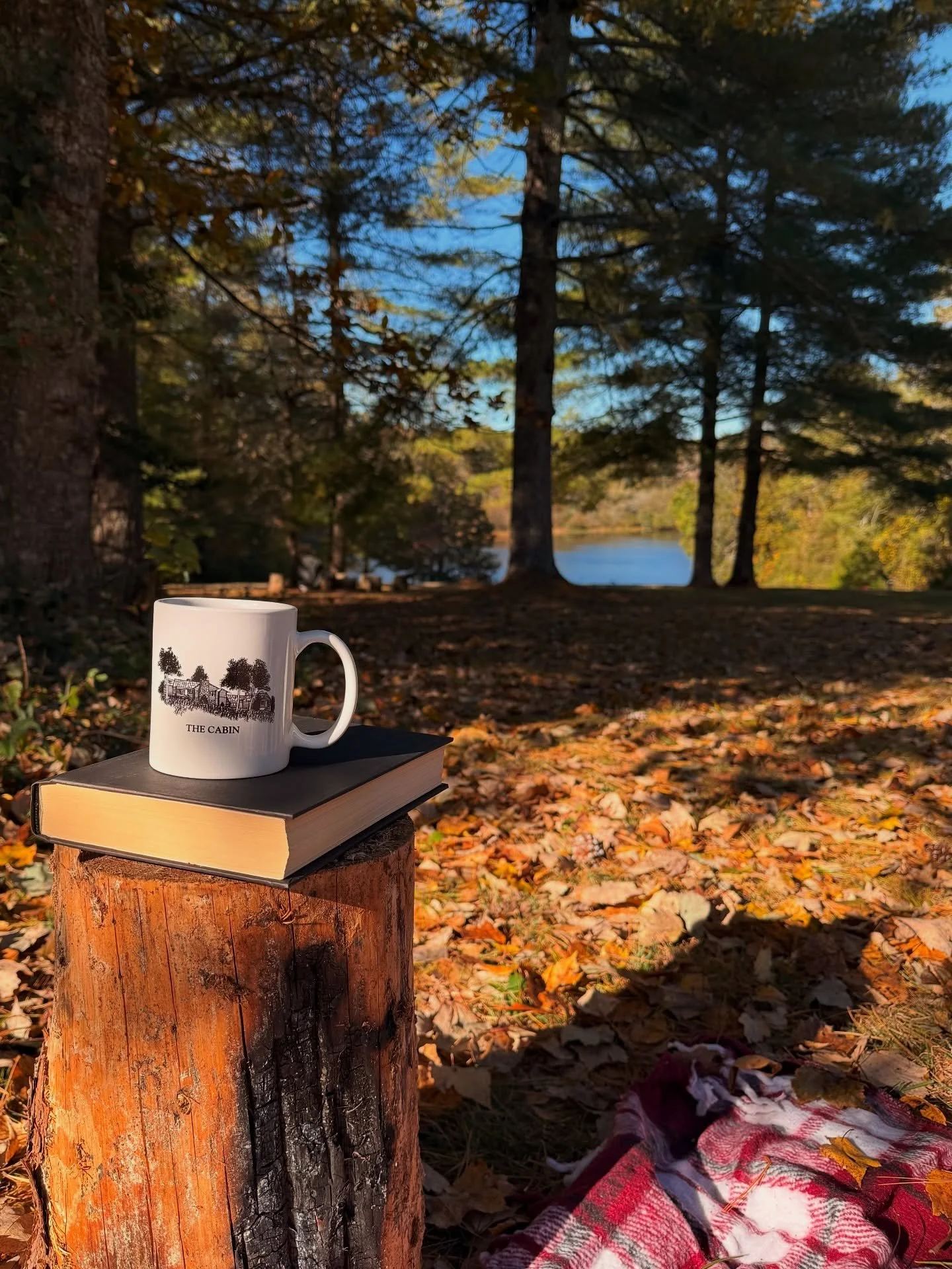 A weekend at Klondike Cabins > anywhere else 🫶🏻