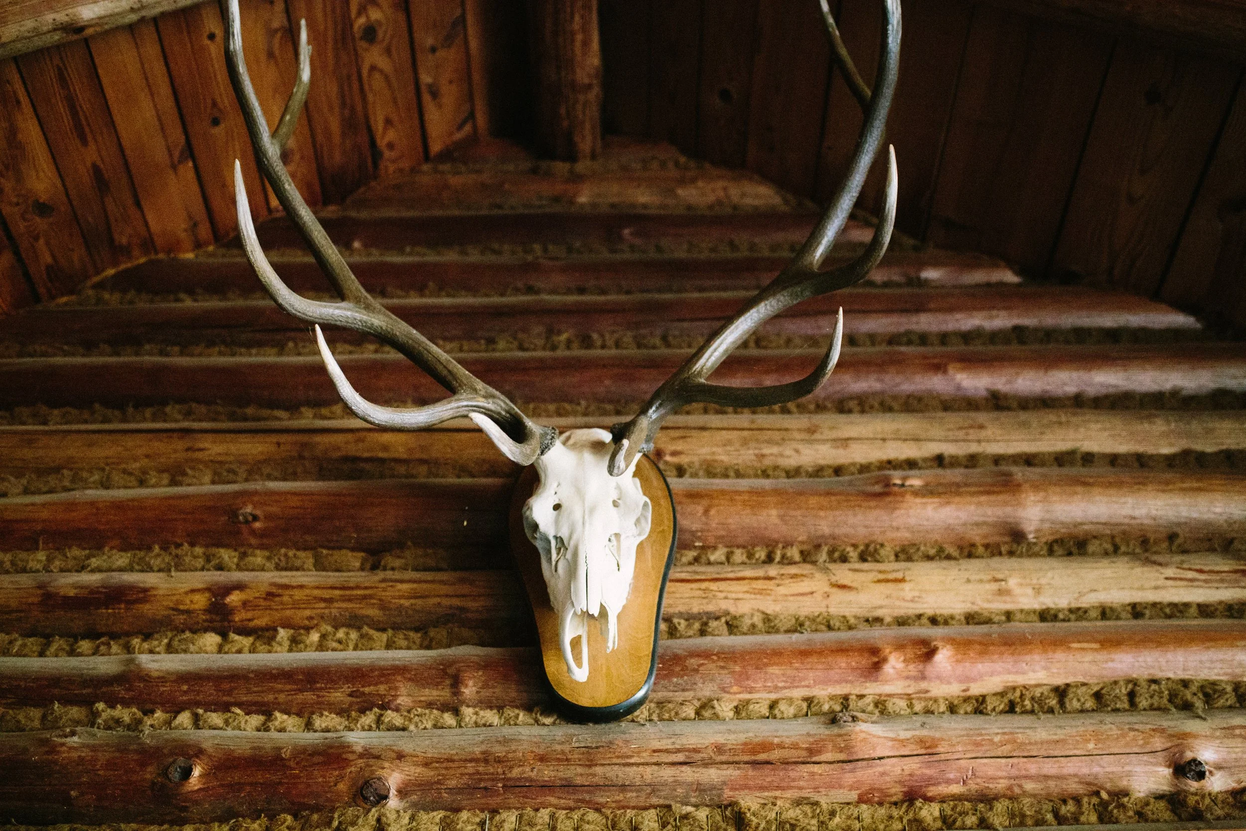 Game Room - Skull.jpg