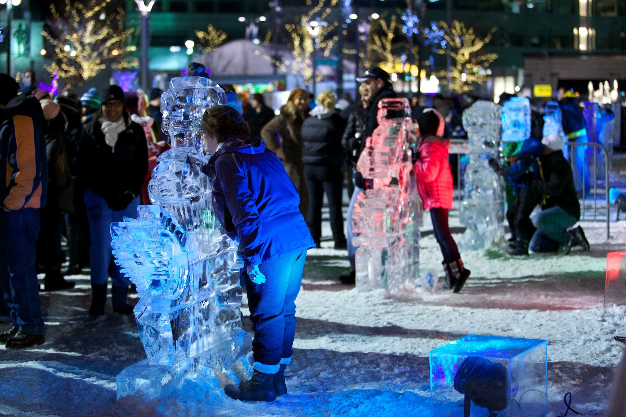 Ice Garden presented by Henry Ford