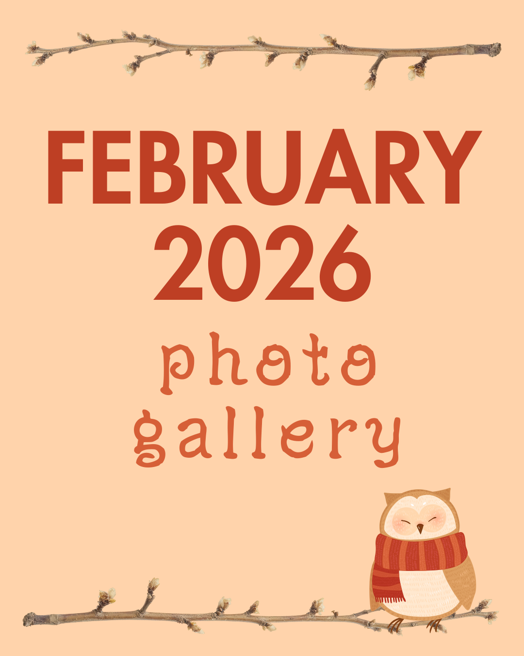 feb26 photo gall.png