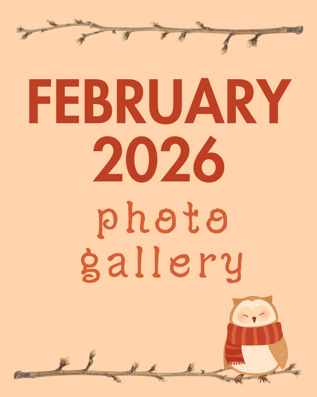 feb26 photo gall.png