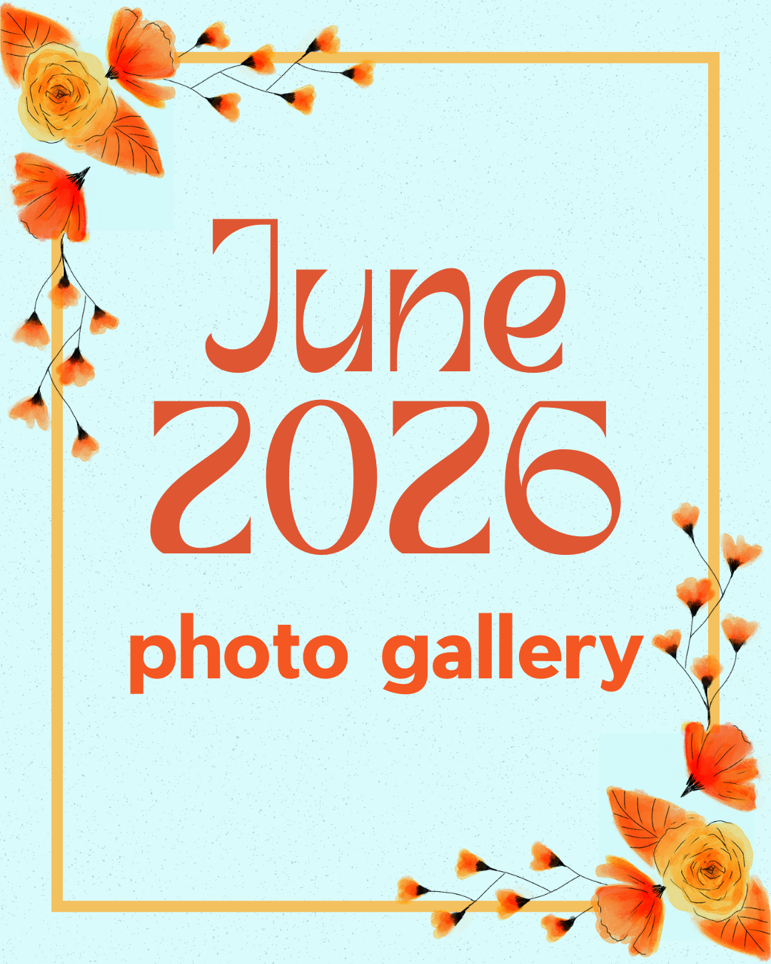 photos.png