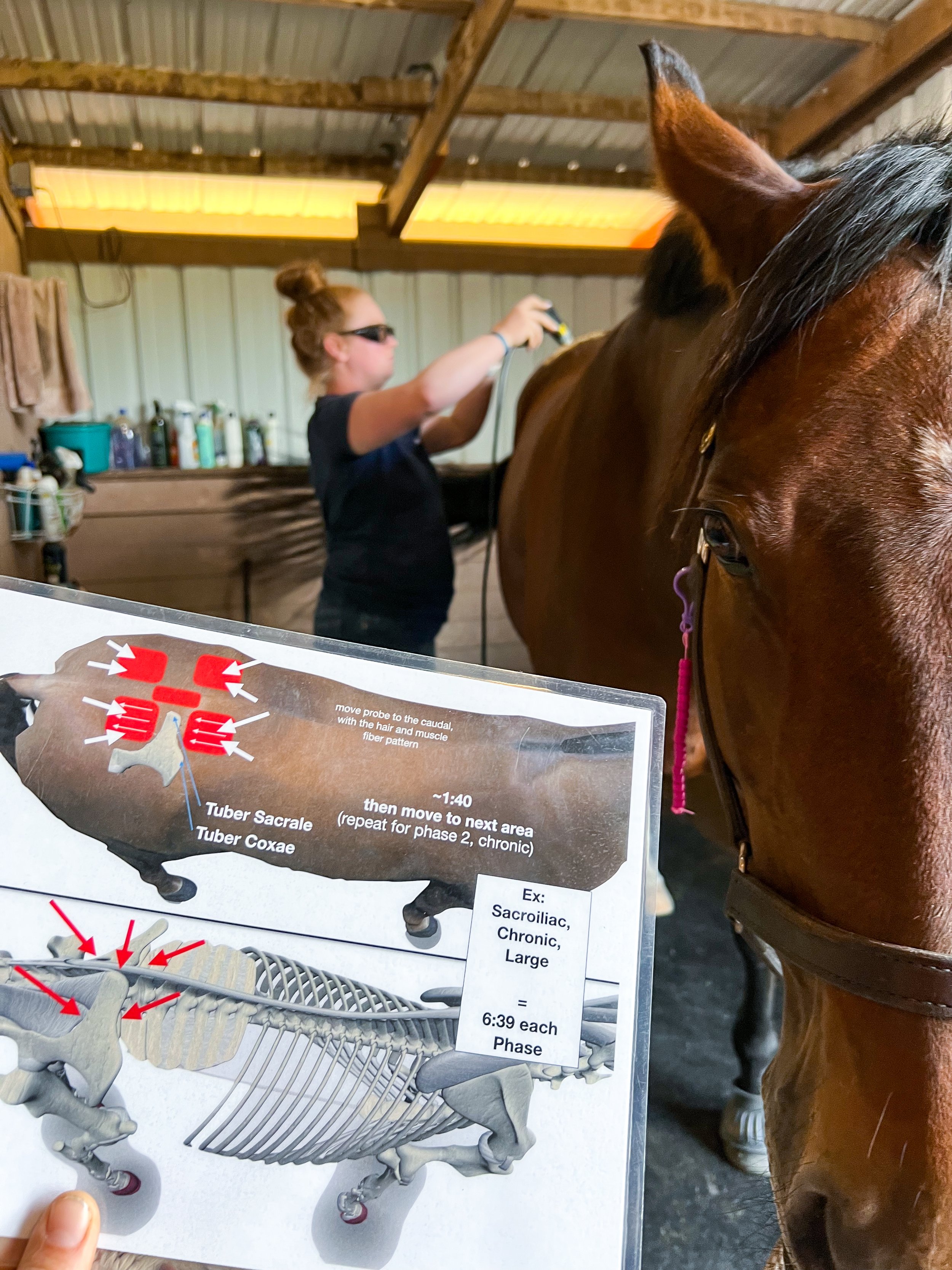 SmartRLT Sport Laser