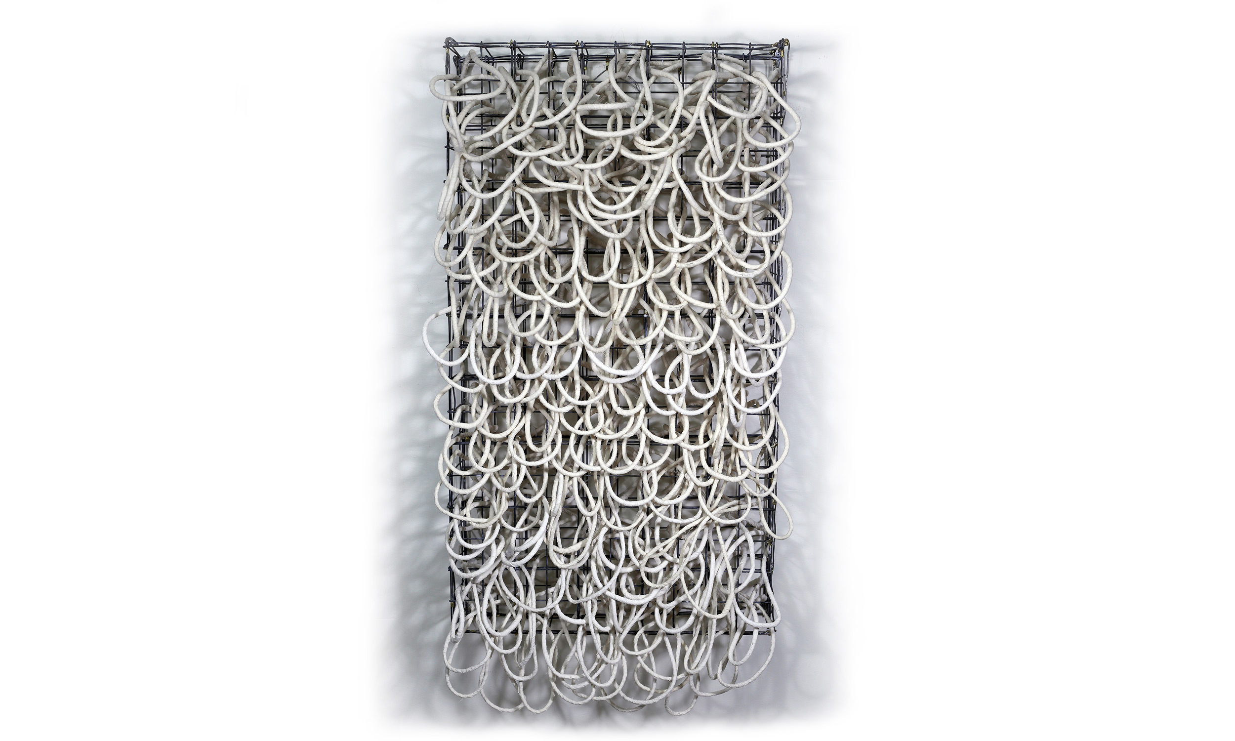 loops2500.jpg