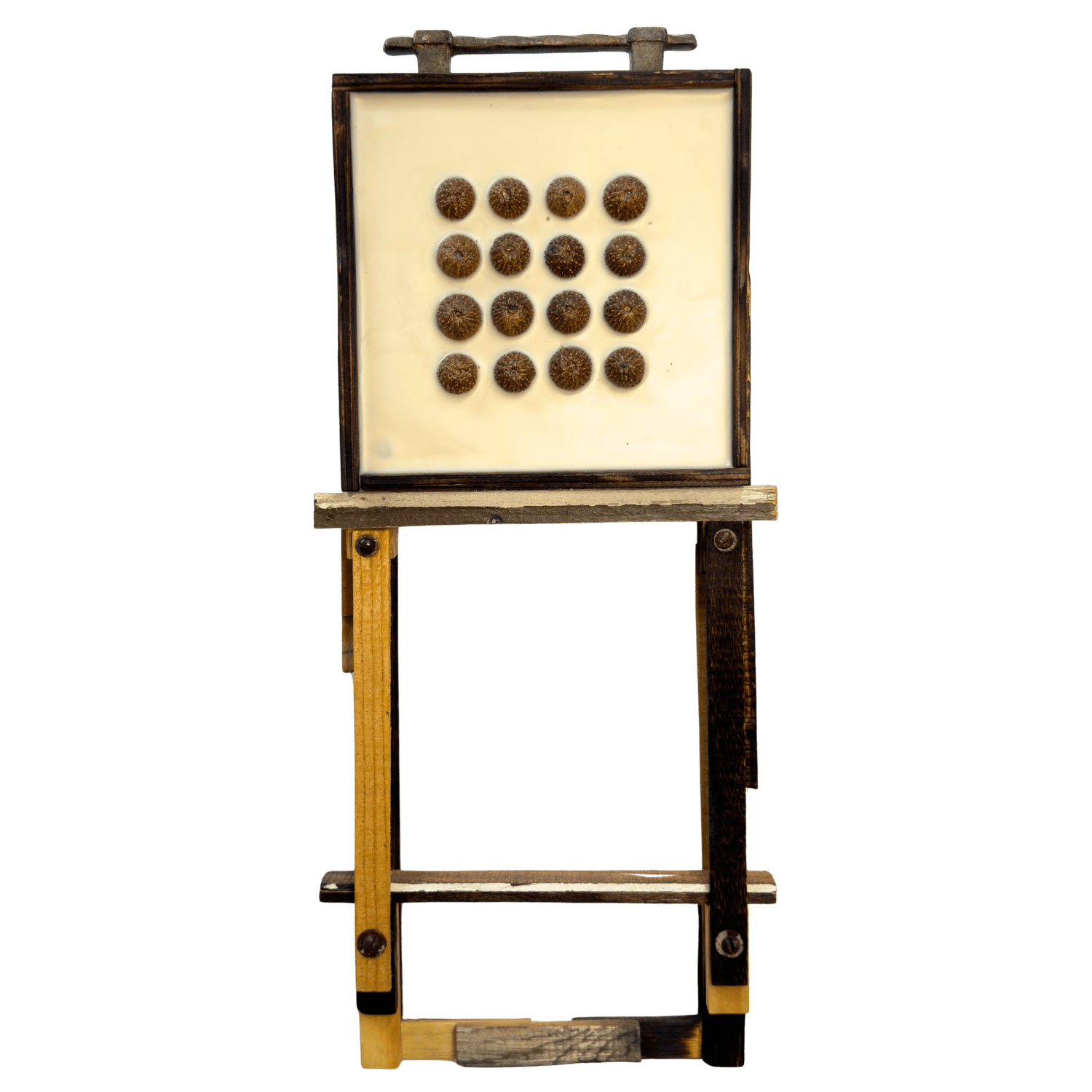 Assemblage_2024_Acorns_WebReady.png