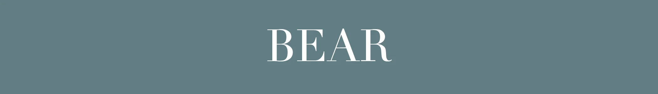 Bear.jpg