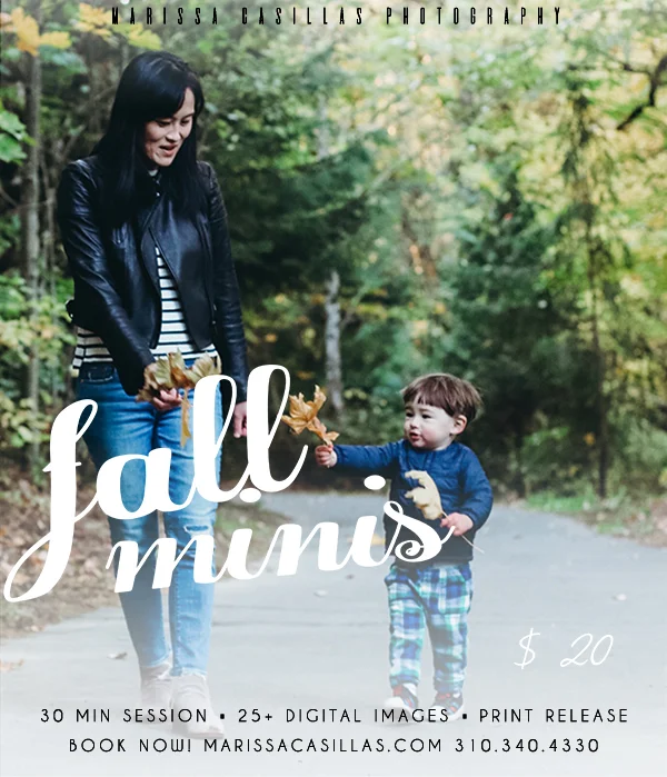 Fall-minis.jpg