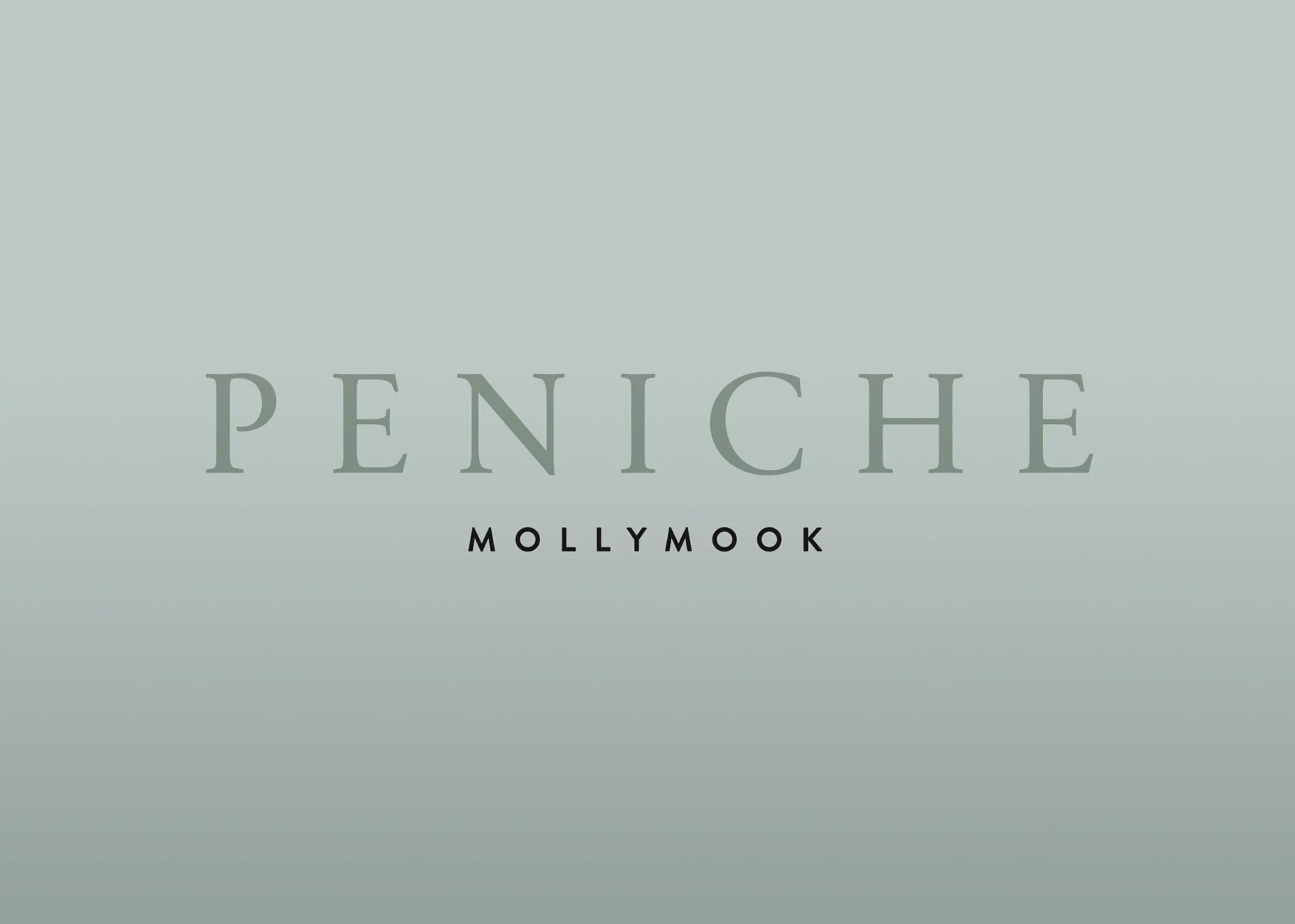 Peniche Mollymook Logo Dovetailstudio.com.au4.jpg
