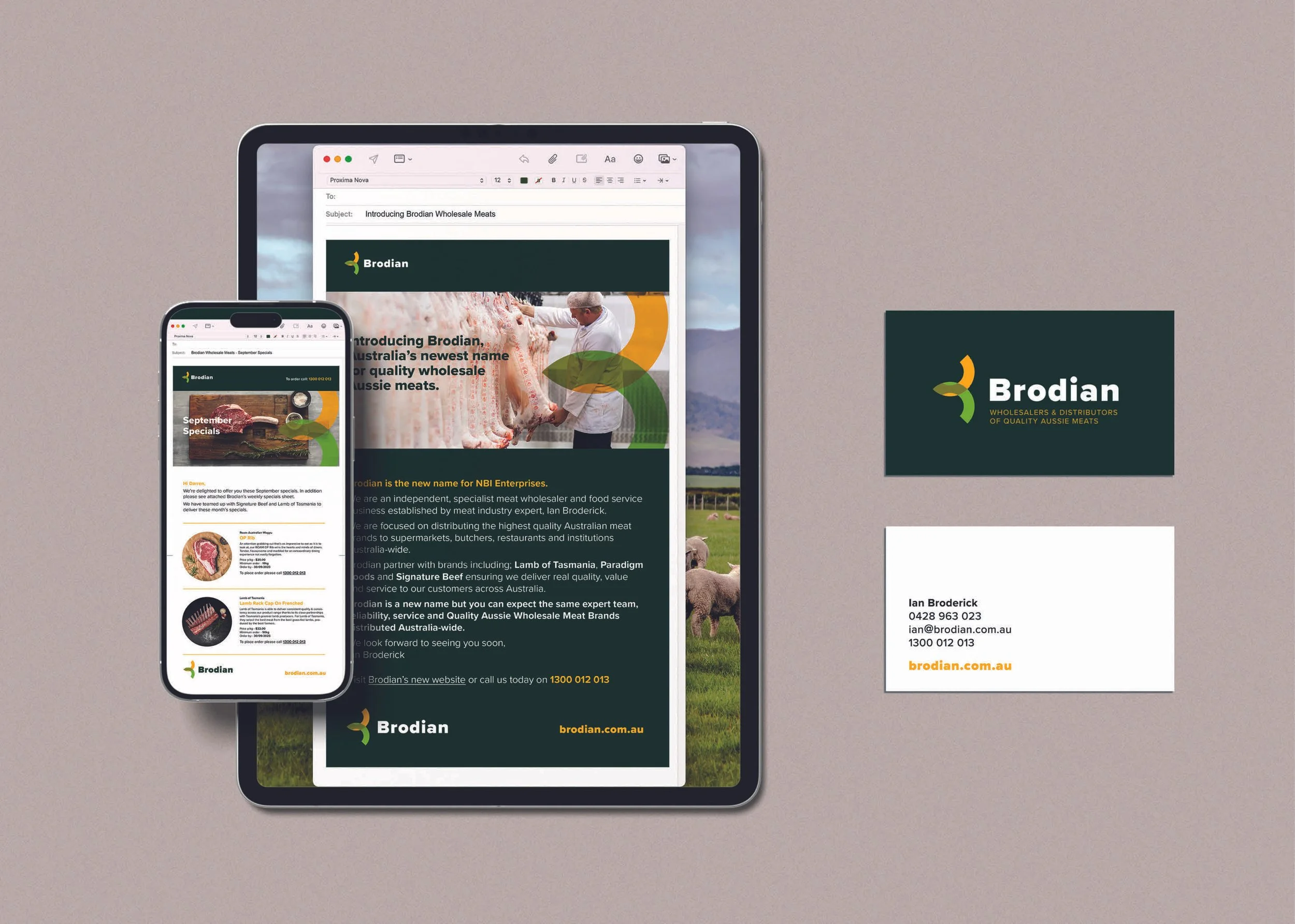 Brodian Brand Development dovetailstudio.com 2.jpg