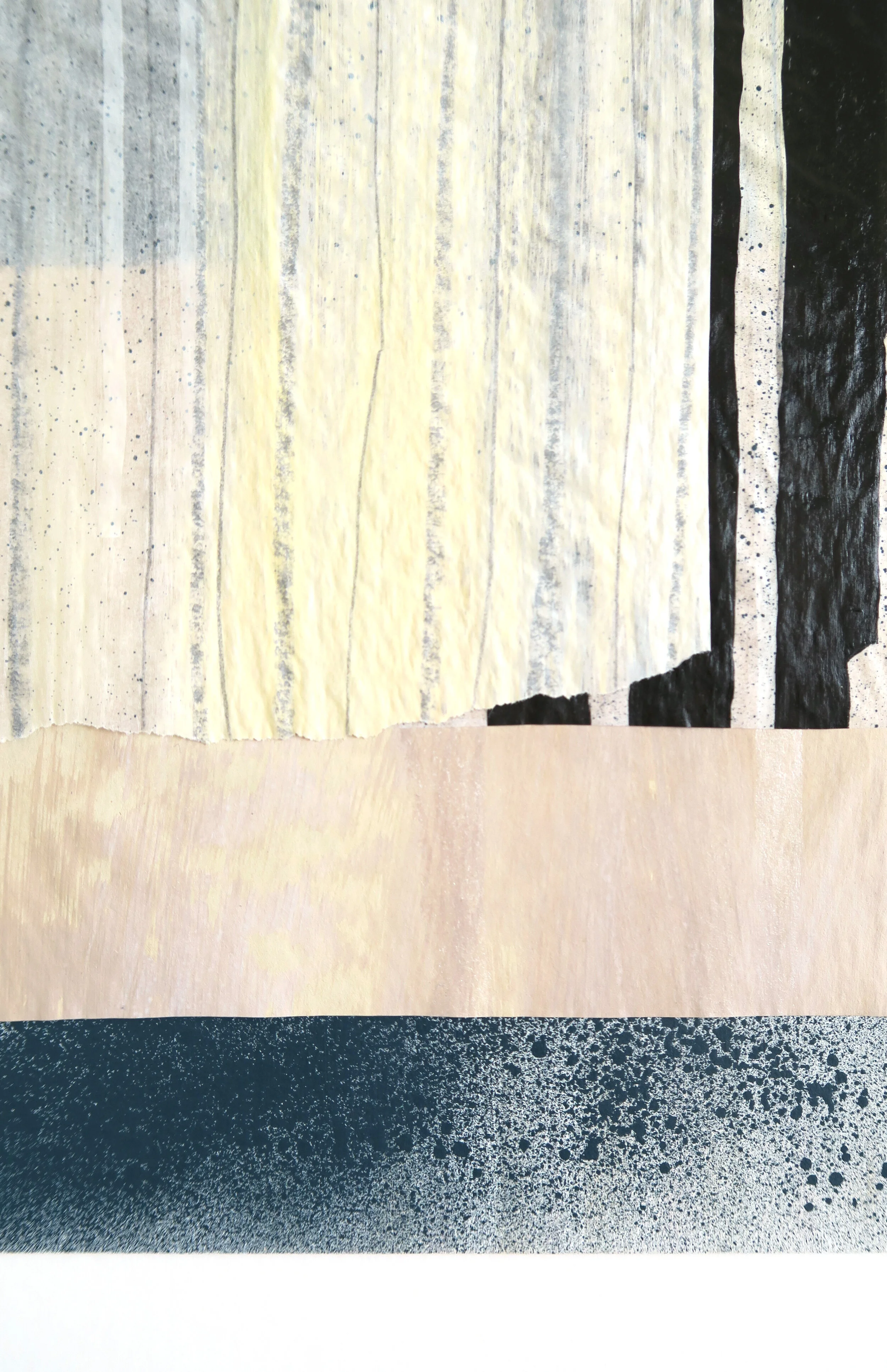 Transitory State bottom.jpg