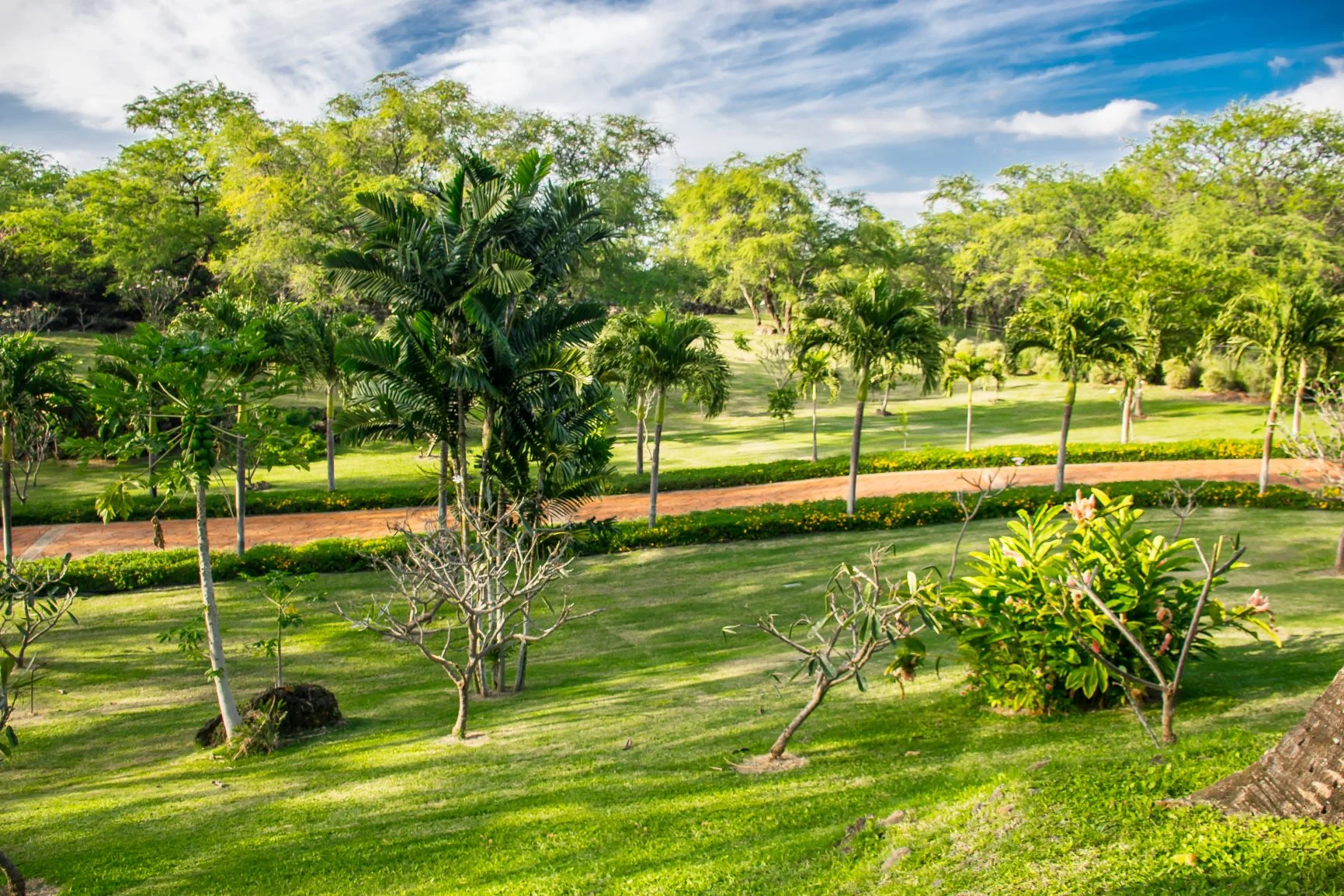 #29 Manacured Acreage.jpg