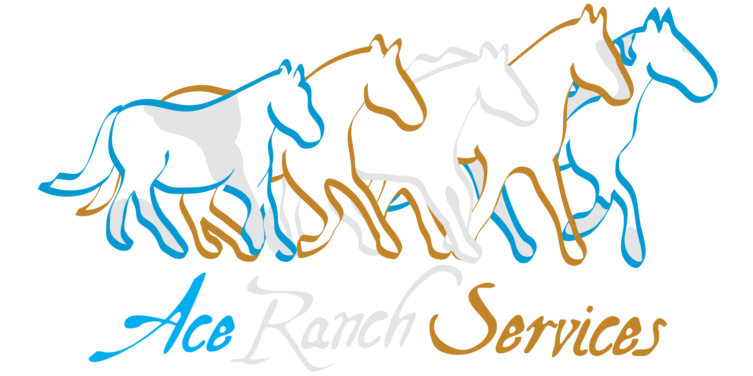 Ace Ranch Services