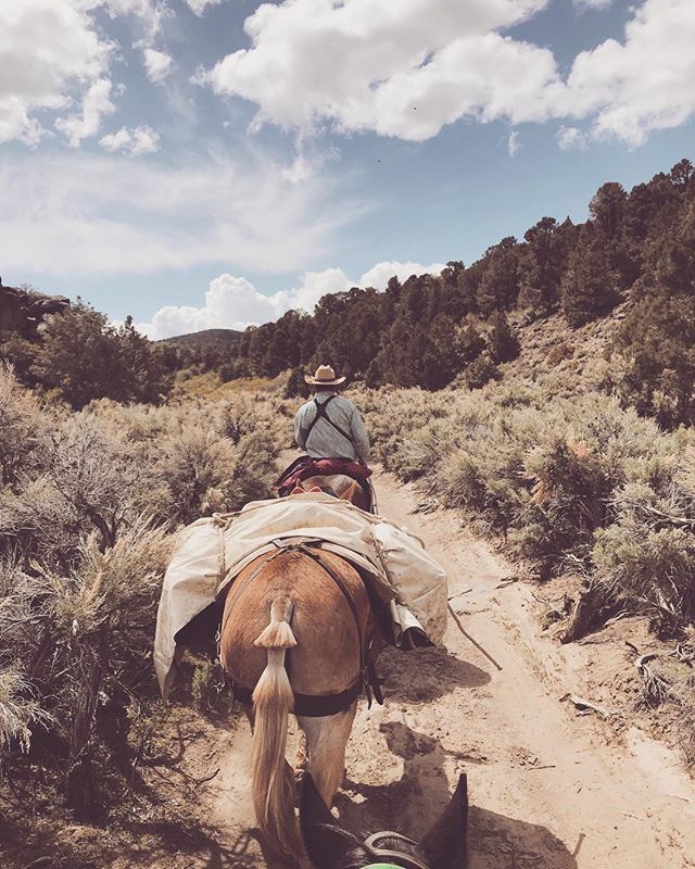 6 hours of riding each day with some POV ass shots. #horsepacking #packtrain #wildwest