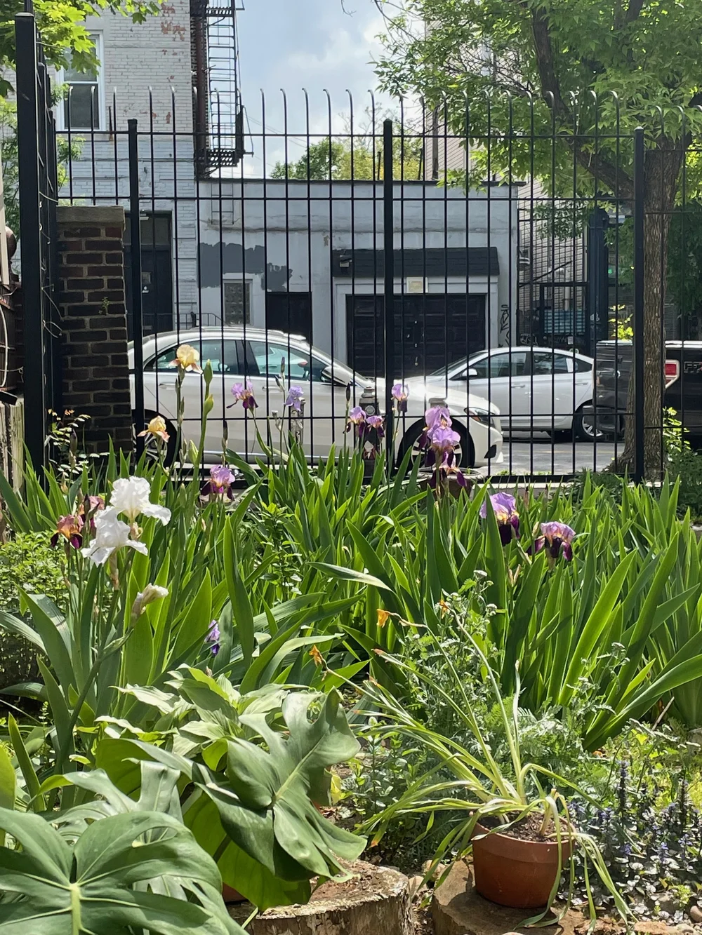 The Garden — MEANTIME CO.