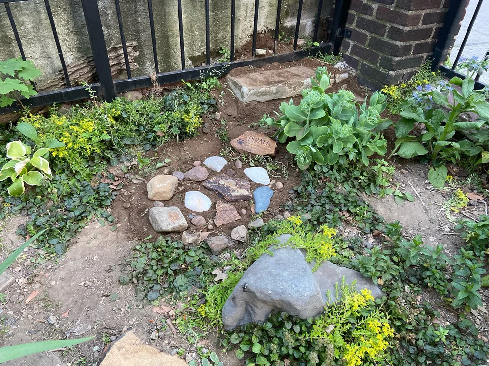The Garden — MEANTIME CO.