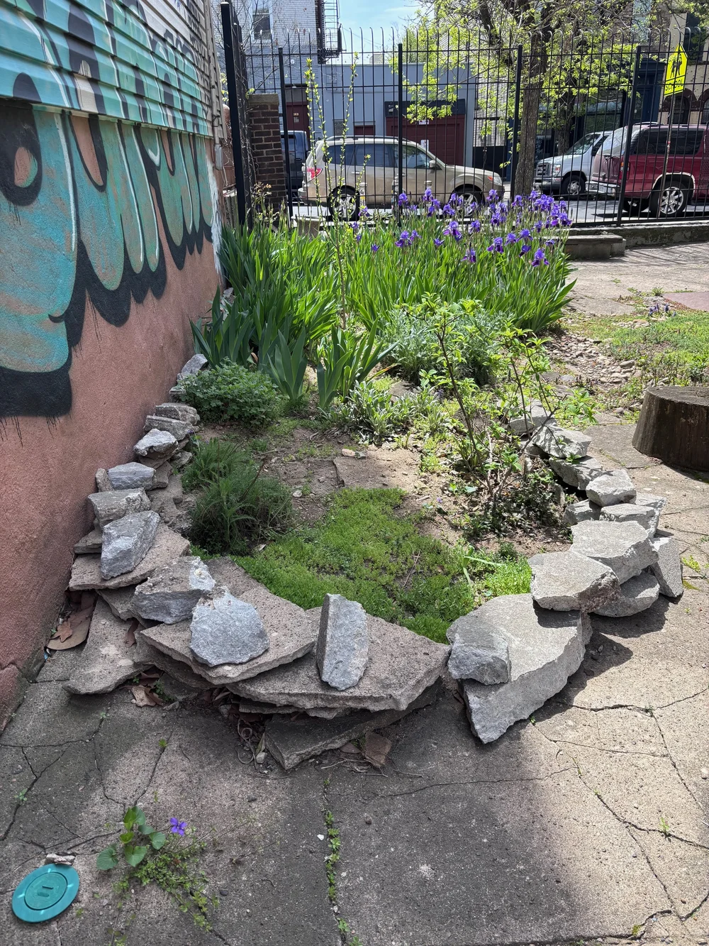 The Garden — MEANTIME CO.