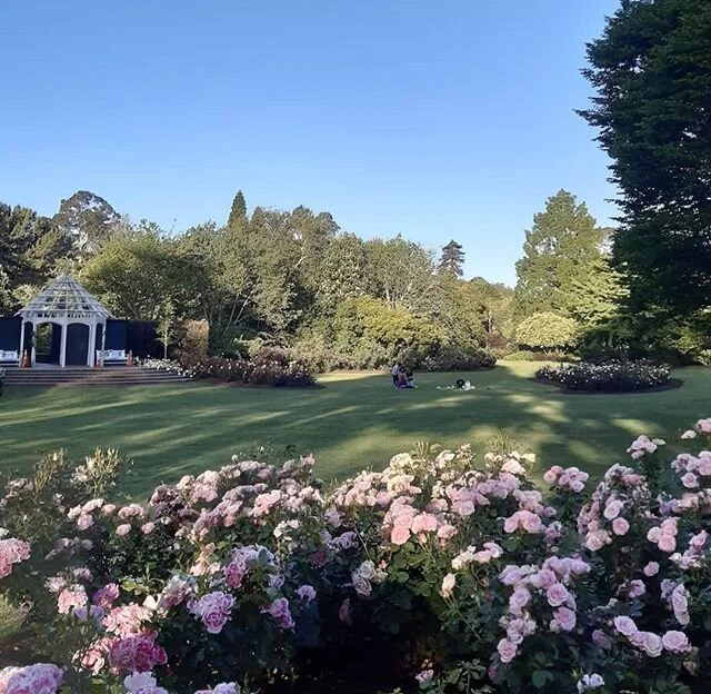 New Year's eve is almost here, and we hope you have a happy, safe, and restorative one - spending time with loved ones, getting outside, and nourishing your body with delicious food! We've taken a bit of a break to do just that. ⁣
⁣
Whether it&rsquo;s a walk in the park, a swim at the beach, or a meal with friends, how are you going to take care of your body and mind today? Drop a comment below and let us know! ⁣
⁣
We&rsquo;ll be back in the new year with some exciting plans for 2020, and we hope that there are wonderful things in store for you, too. Arohanui ⭐⁣
⁣
⁣
⁣
⁣
#āhei #allbodiesaregoodbodies #selfcare #bodypositivity #nondiet #intuitiveeating #mentalhealth #connection #family⁣
#effyourbeautystandards #ditchthediet⁣
#selfesteem #compassion #diet