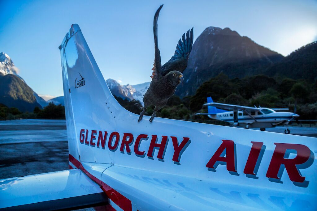 Milford Sound tour Fly cruise Fly .jpeg
