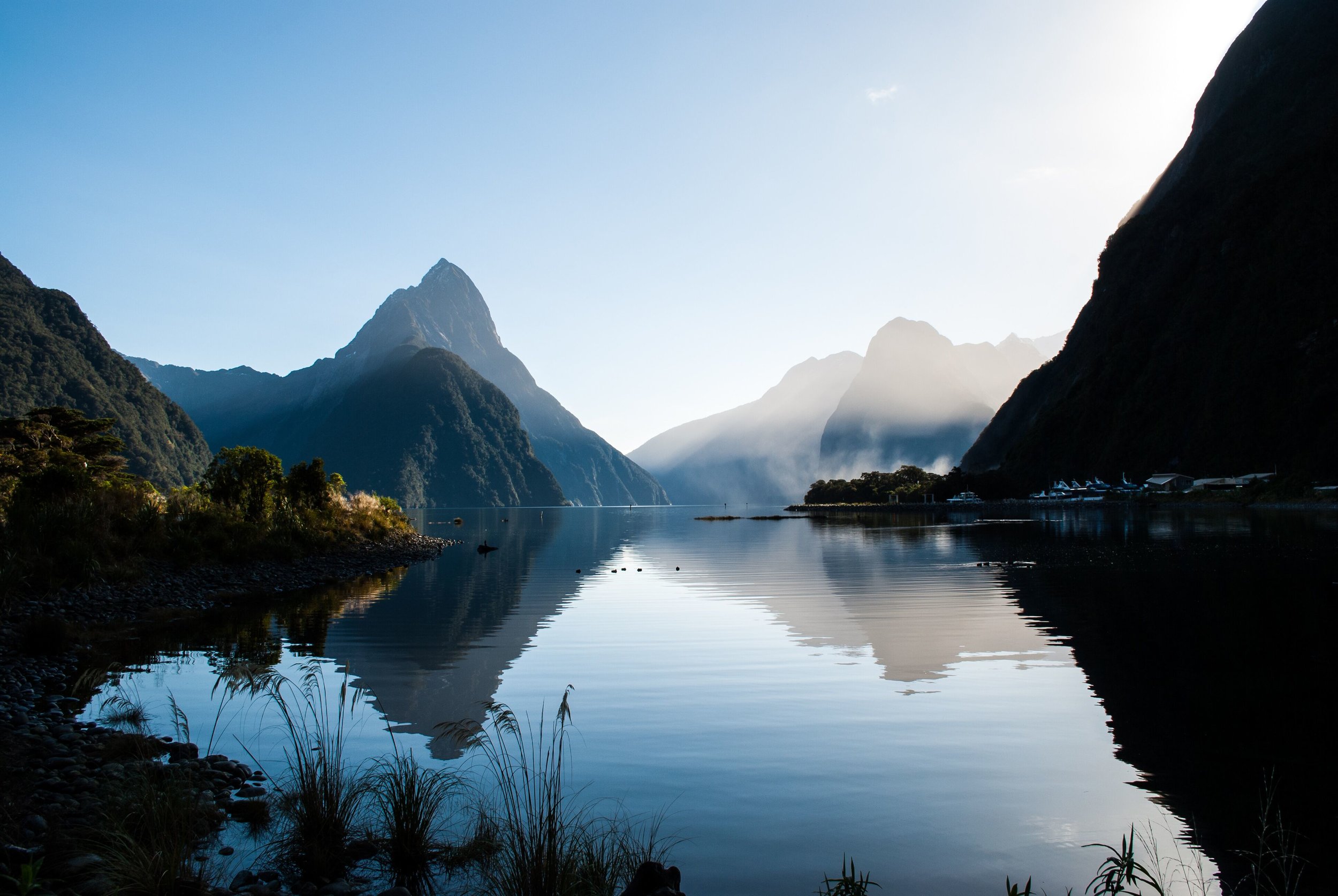 Milford Sound tour Bus cruise Fly .jpeg