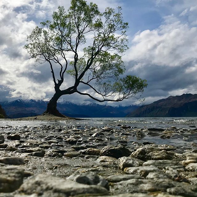 Look what happens when it rains for a couple of days in Wanaka.