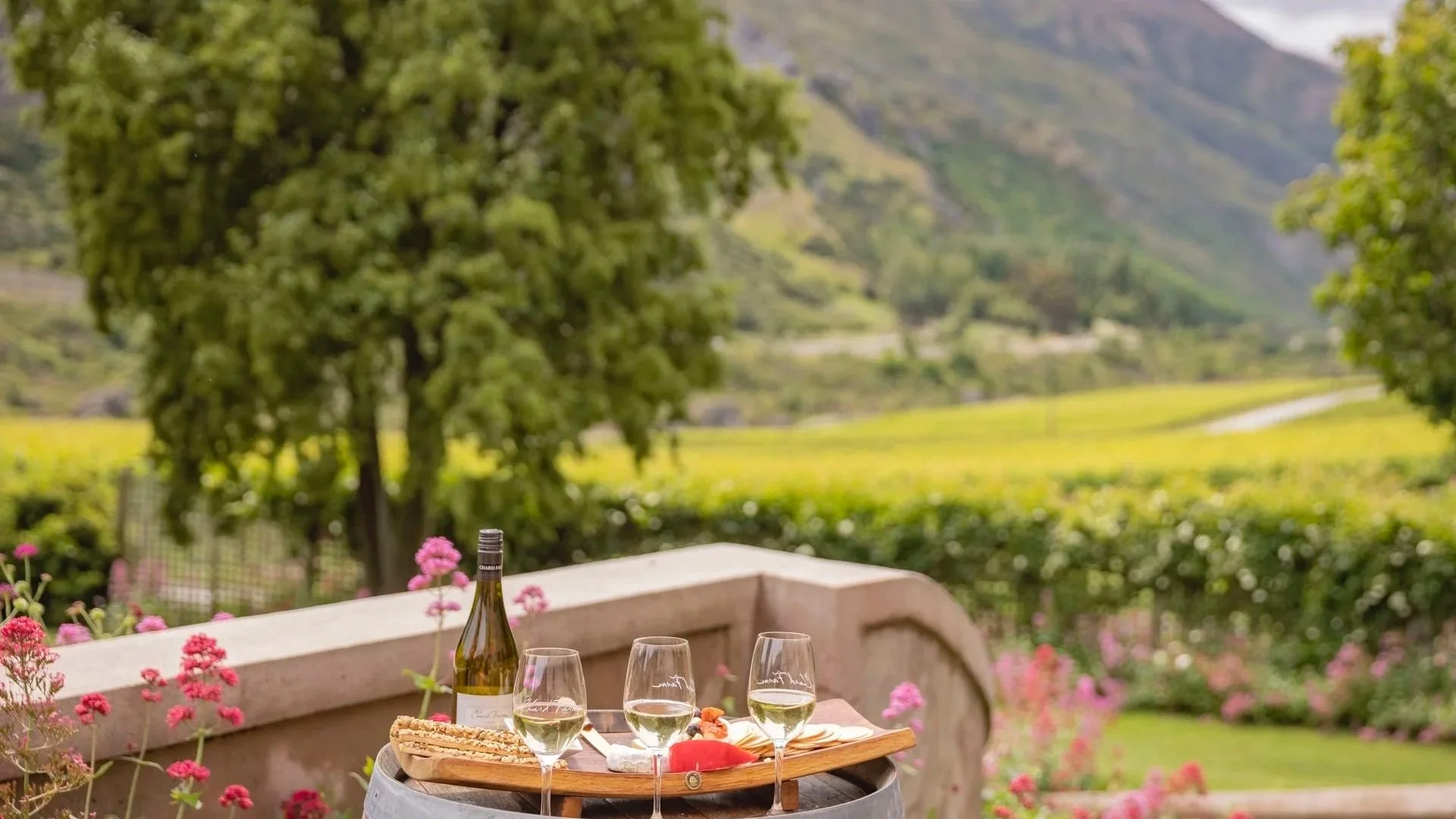 Queenstown Wine Tours
