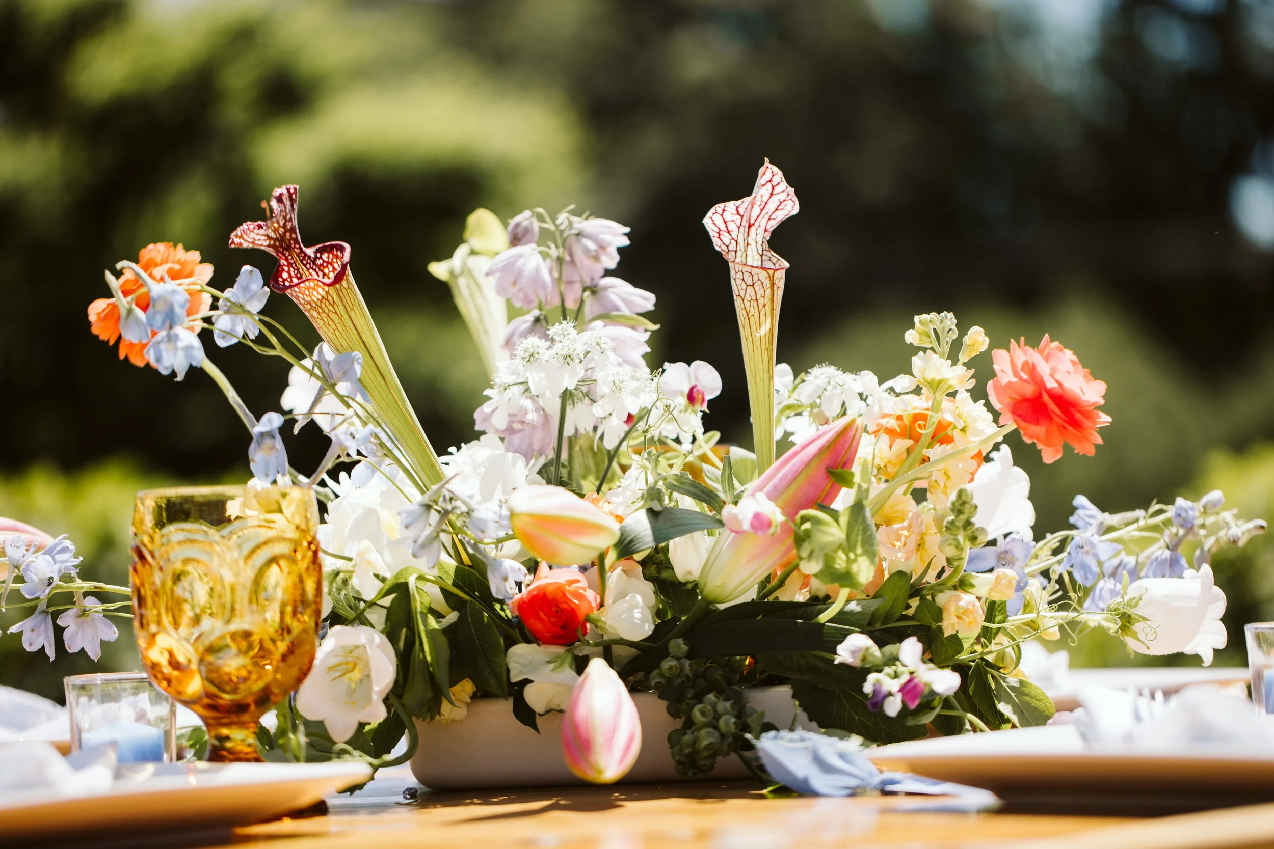whidbey_island_wedding_kelly_lemon_photography_lily_john-295.jpg