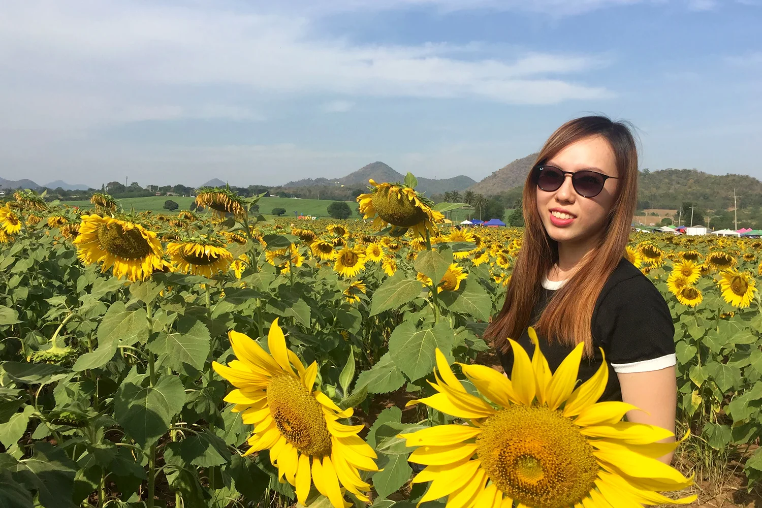 The sun is so glaring at the Manee Sorn Sunflower Field.