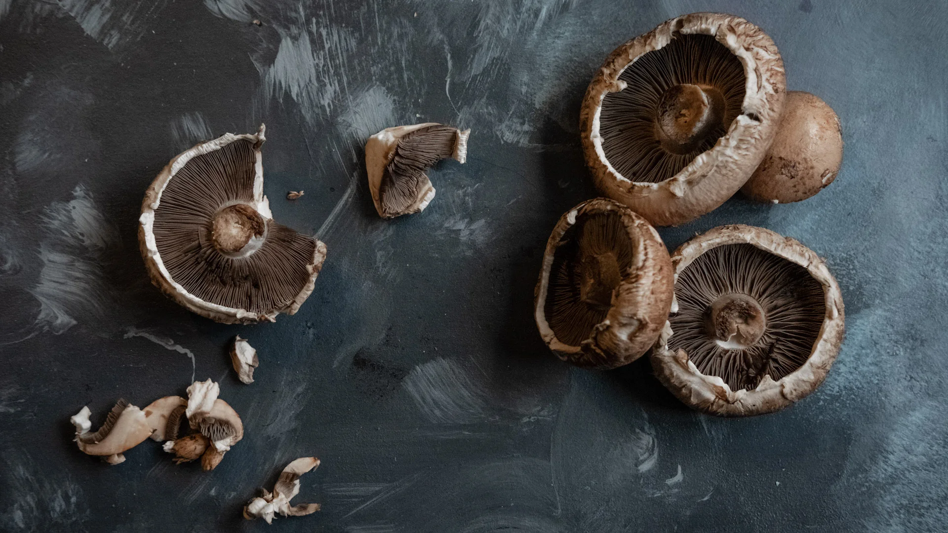 Mushrooms-1-5.jpg