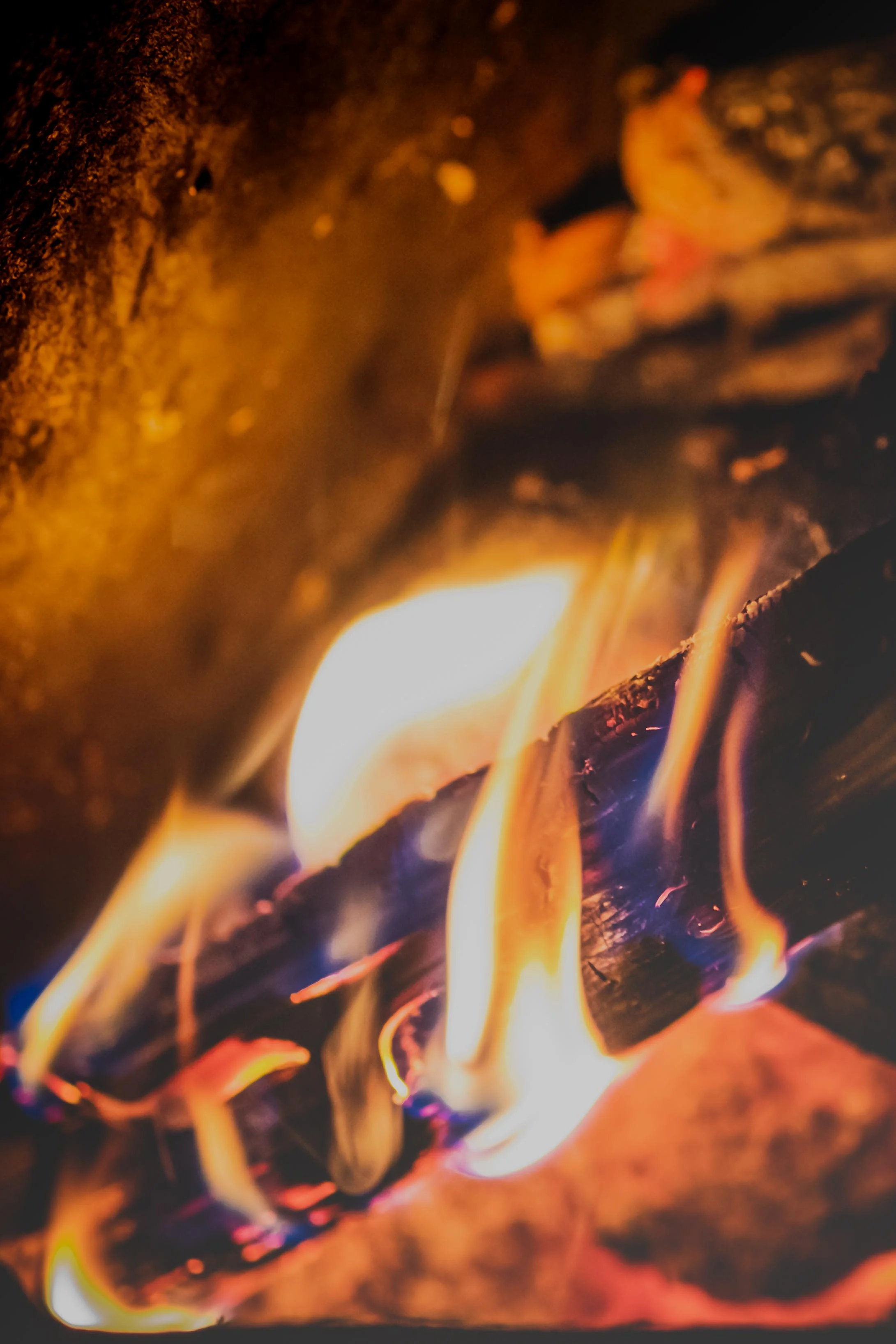 5th January 2019 - Keeping warm and cosy at home