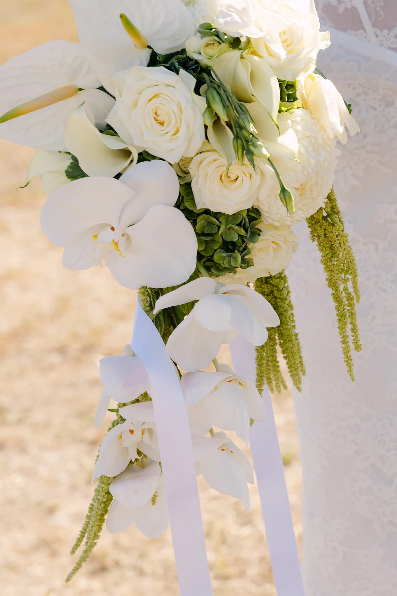  Captured for Ten Acres Agency 