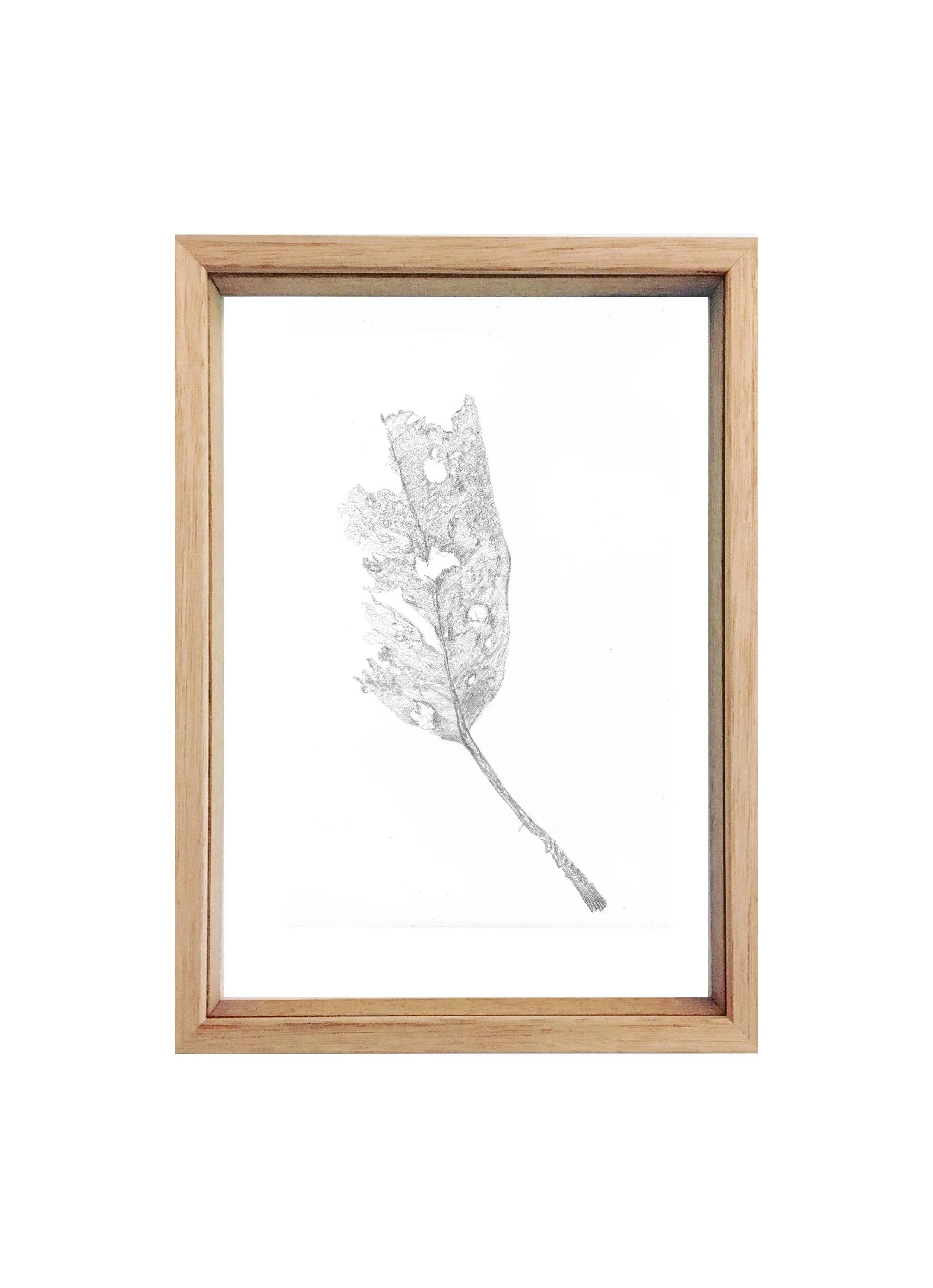 Pottsville_Framed_small.jpg