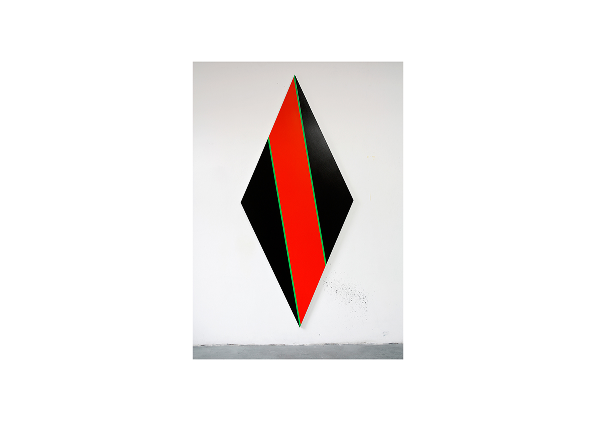 Combate, 2012 Acrylfarbe auf Baumwollstoff 250 x 110 cm