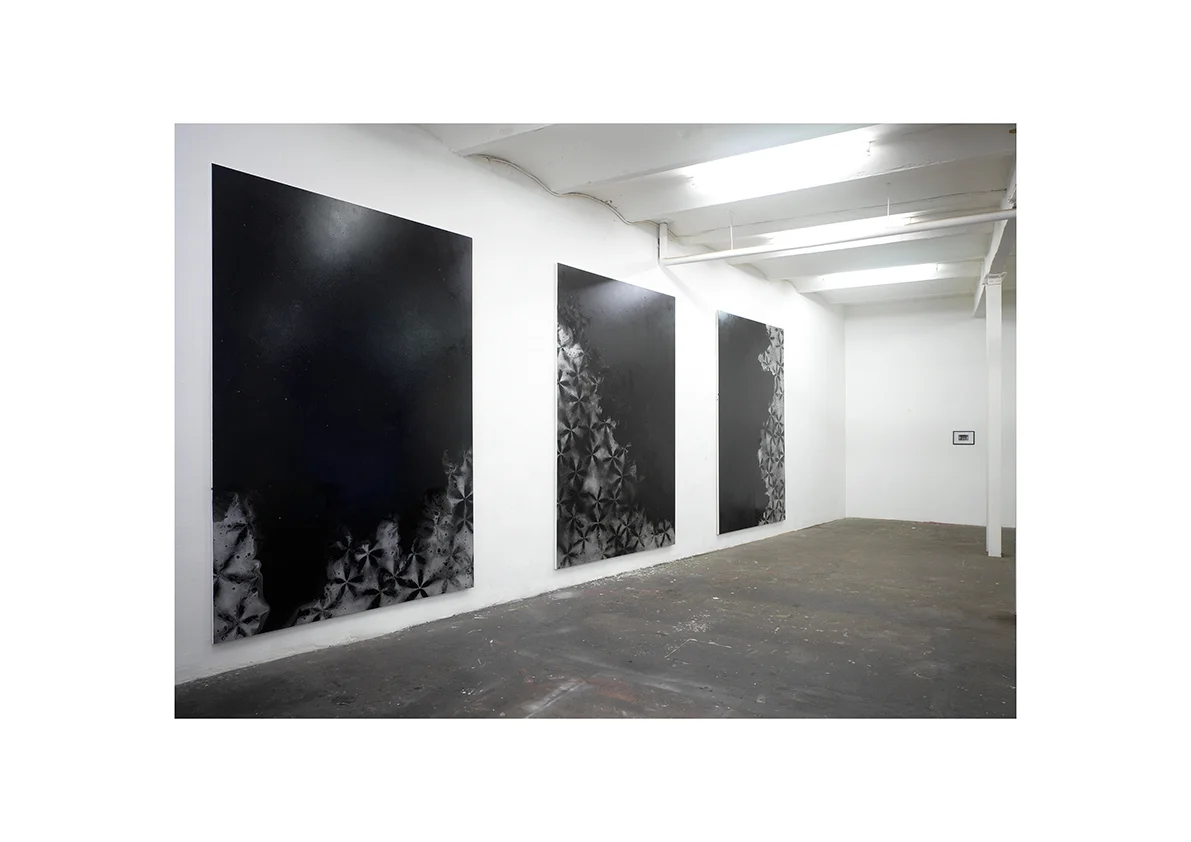 Rising Water, 2006/ Supernova, 2005 3 Gemälde, Lackspray auf Baumwollstoff je 295 x 195 cm/ Fotografie 10,5 x 15 cm