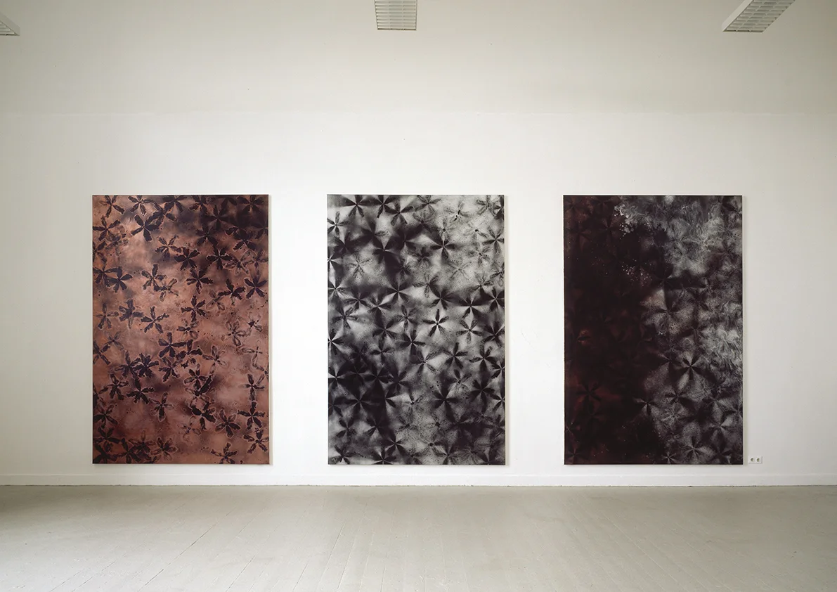 Akademie Düsseldorf 2005
Ohne Titel, 2004
Lackspray auf Baumwollstoff
je 295 x 195 cm
