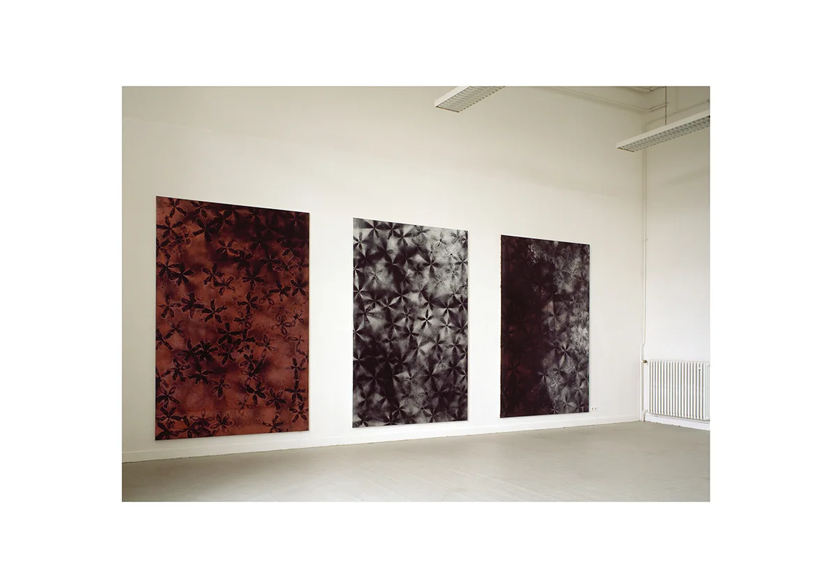 Kunst Akademie Düsseldorf 2005 Ohne Titel, 2004 Lackspray auf Baumwollstoff je 295 x 195 cm