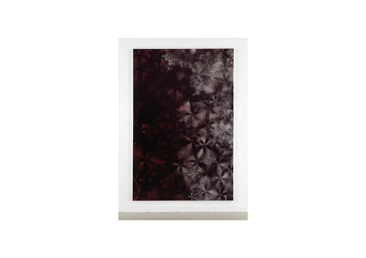 Dalol, 2004 Lackspray auf Baumwollstoff 295 x 195 cm