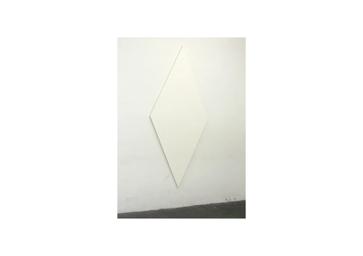 Ride the Skies II, 2007 Lack auf Baumwollstoff 250 x 110 cm