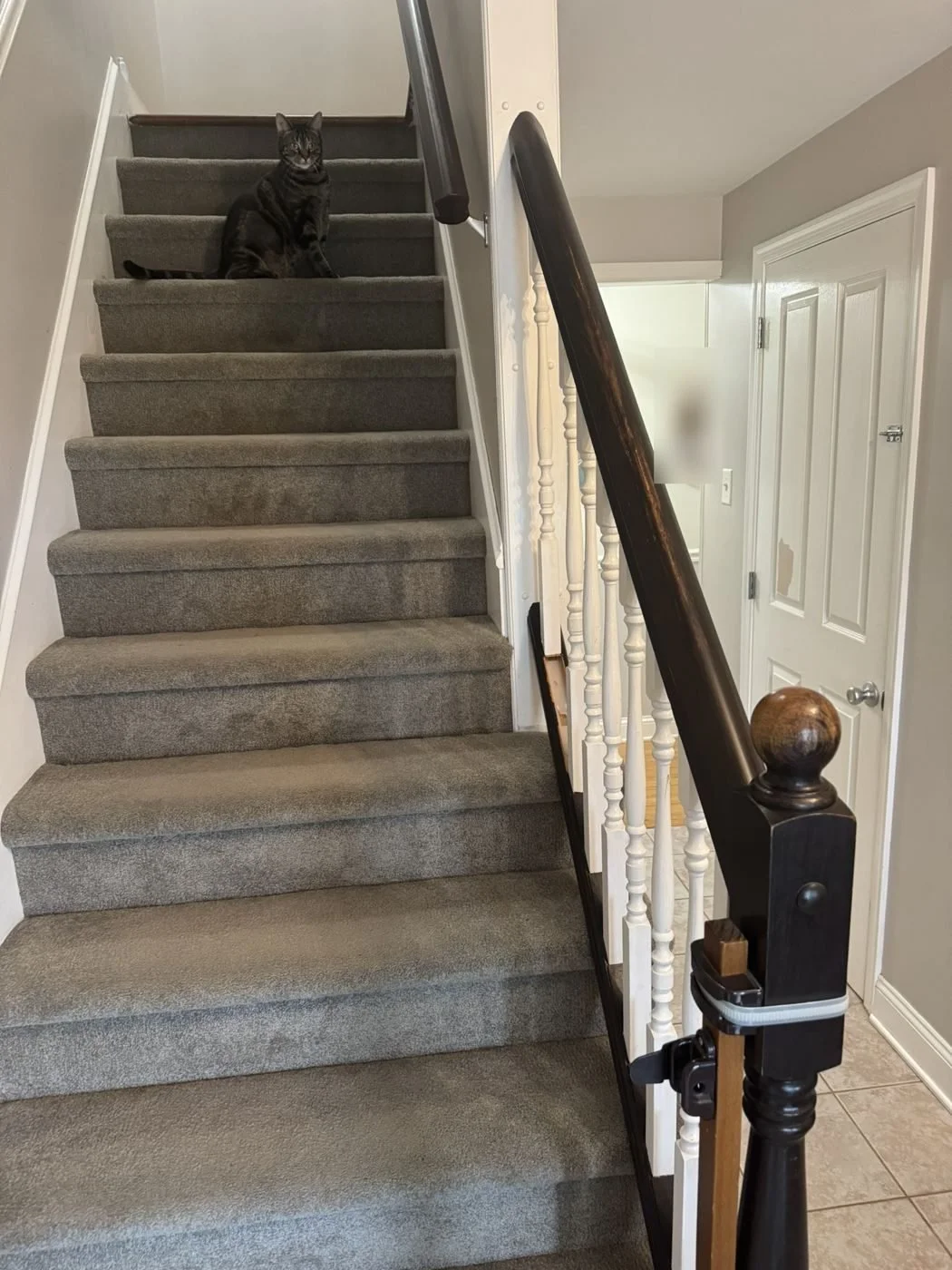 gilbertsville-01-stairs-before.jpg