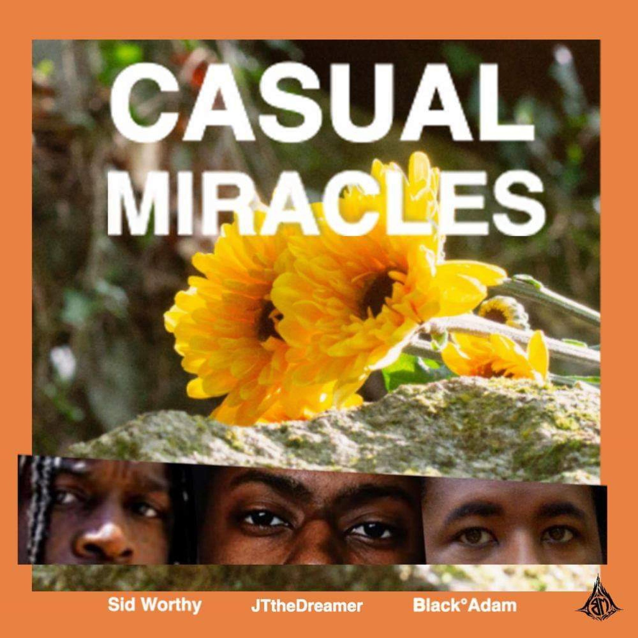 casual miracles.jpeg