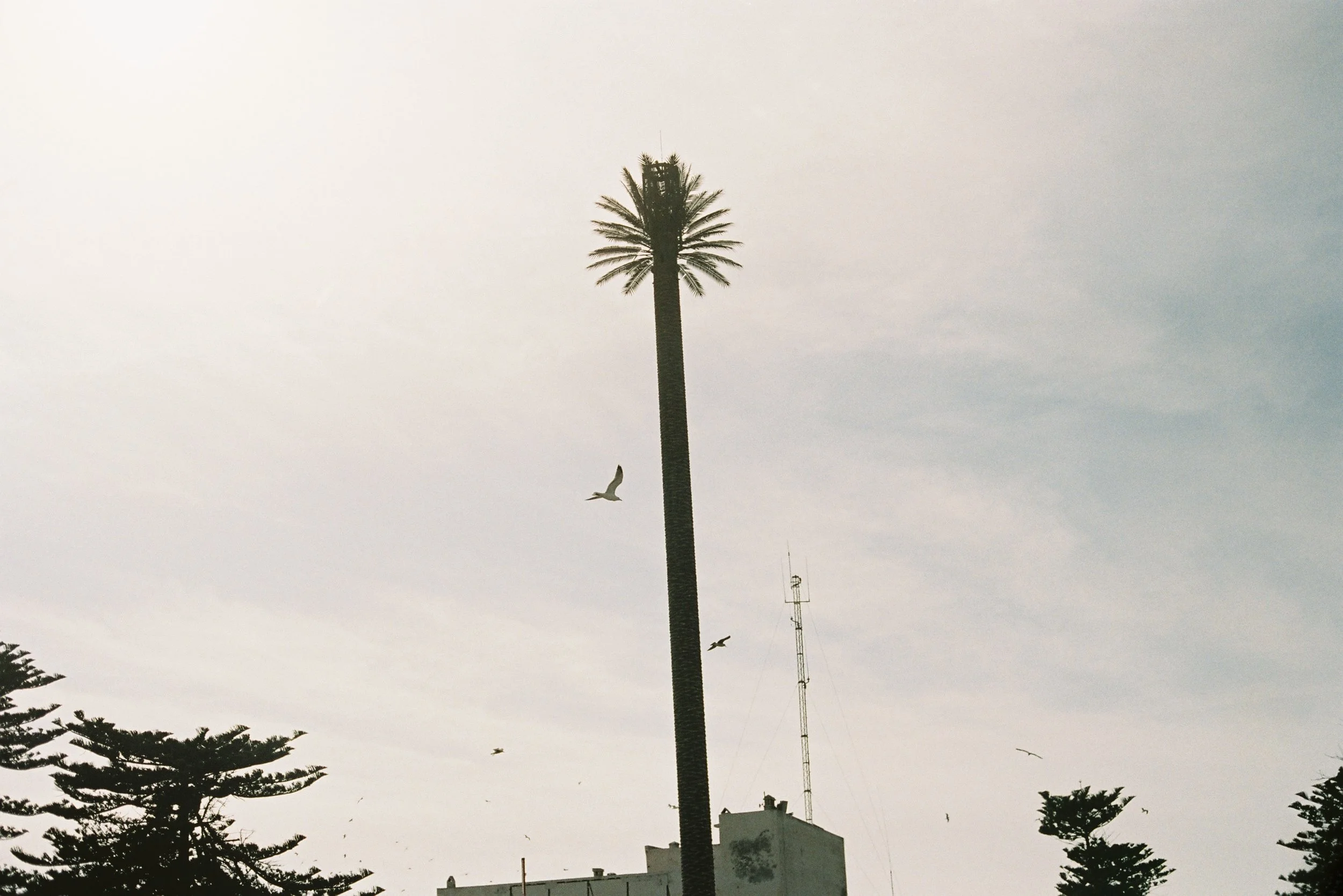 Morocco by Adrianna Glaviano