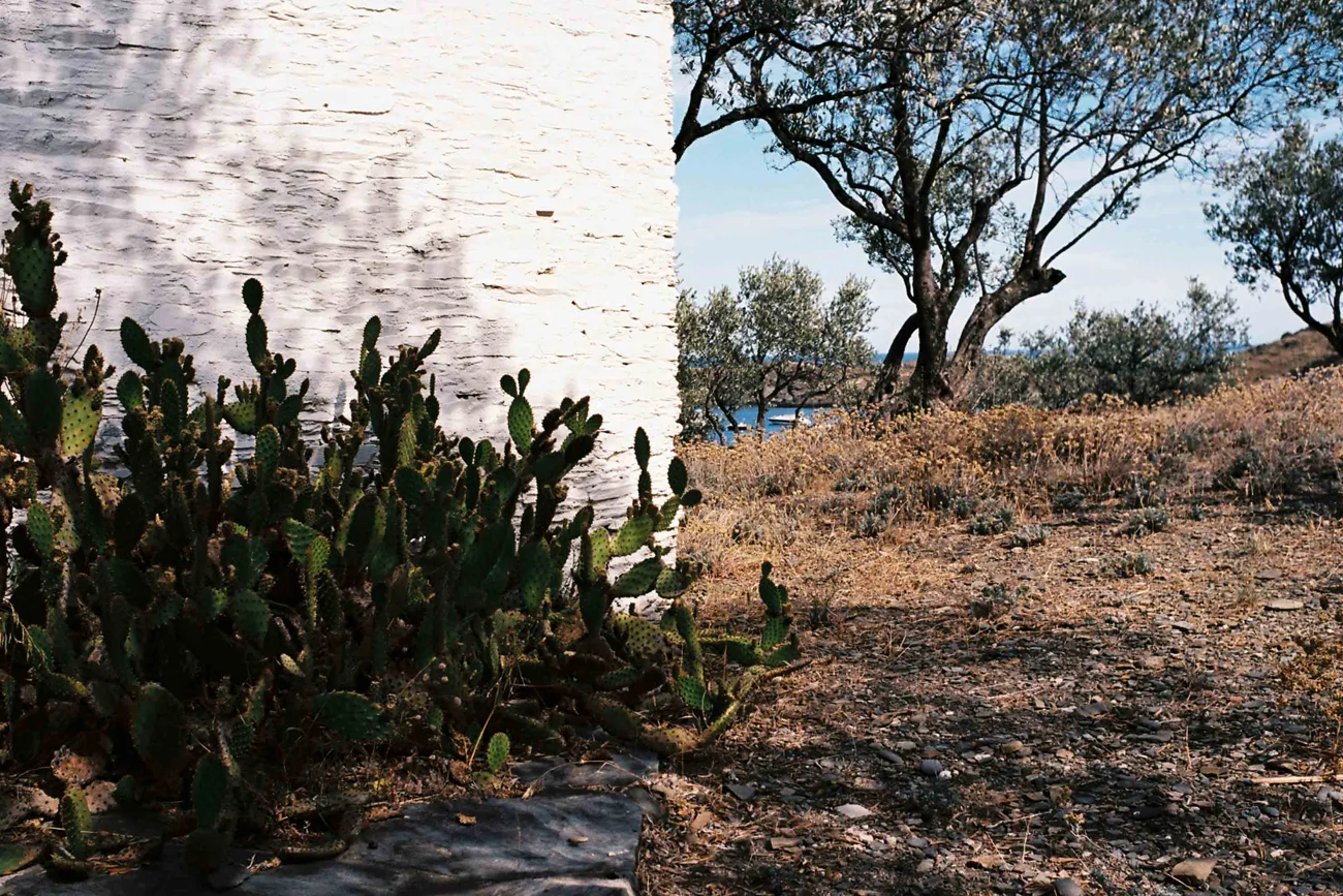 Cadaques by Laurent Laporte for O. Ballou