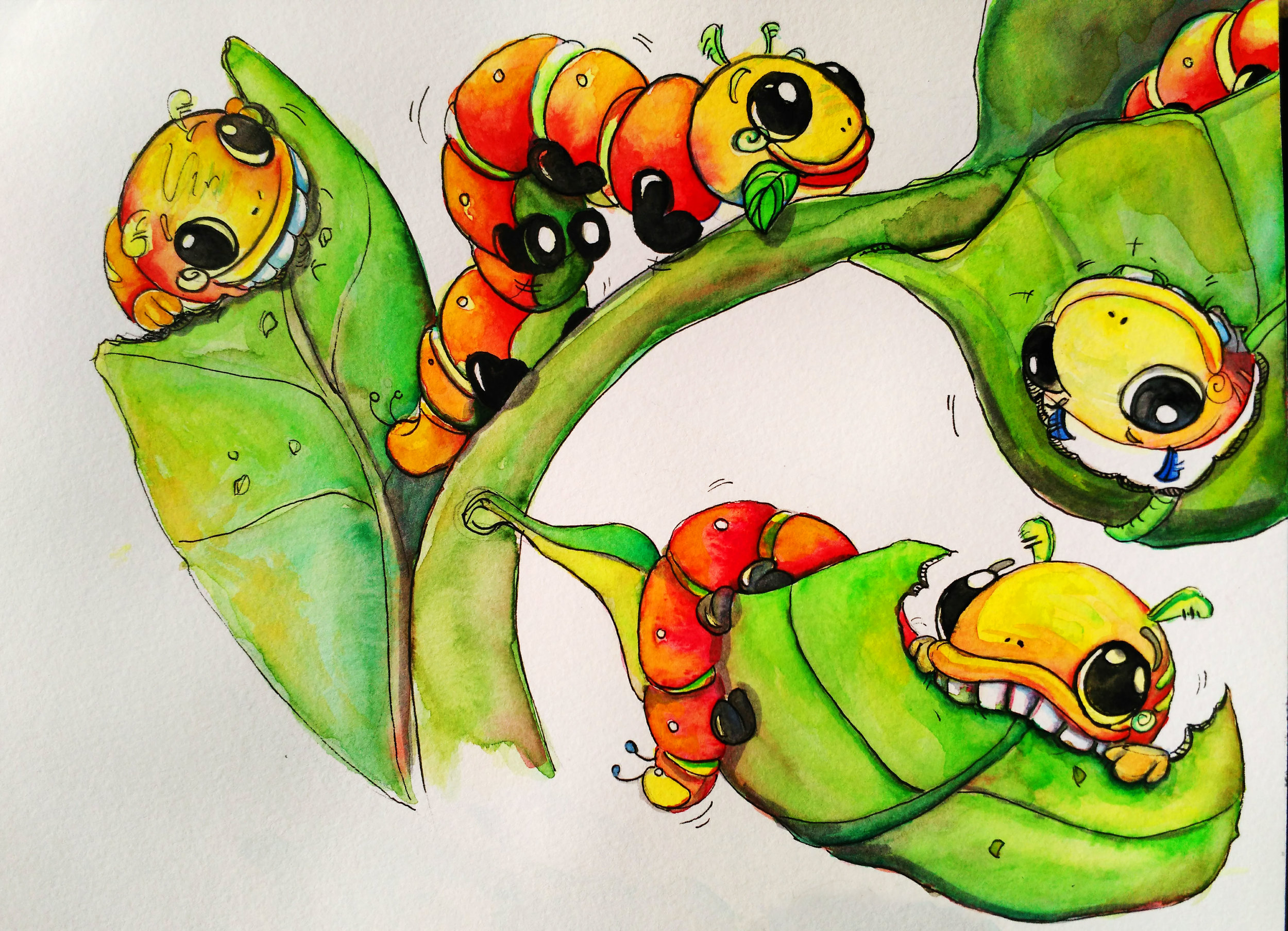 4 Caterpillars.jpg