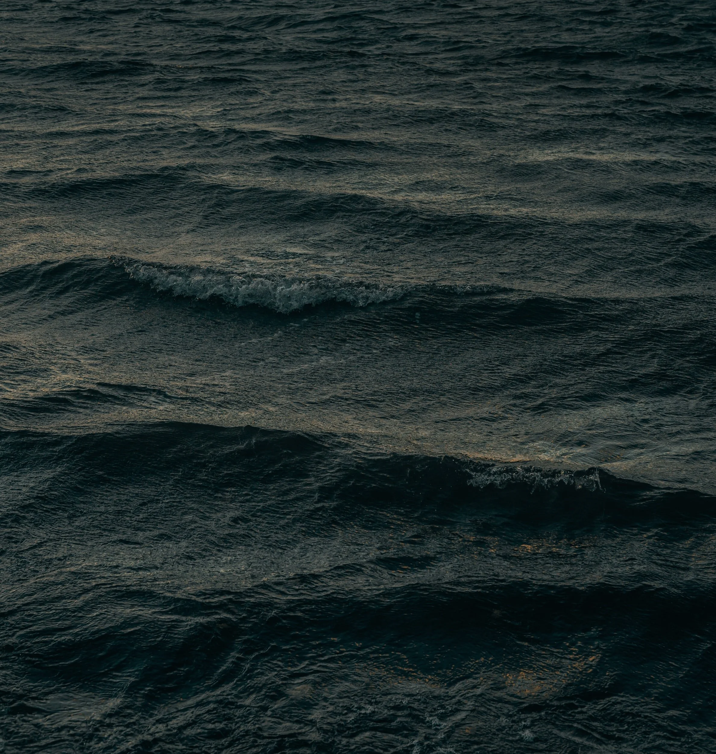 Subscribed // Frictionless Payments